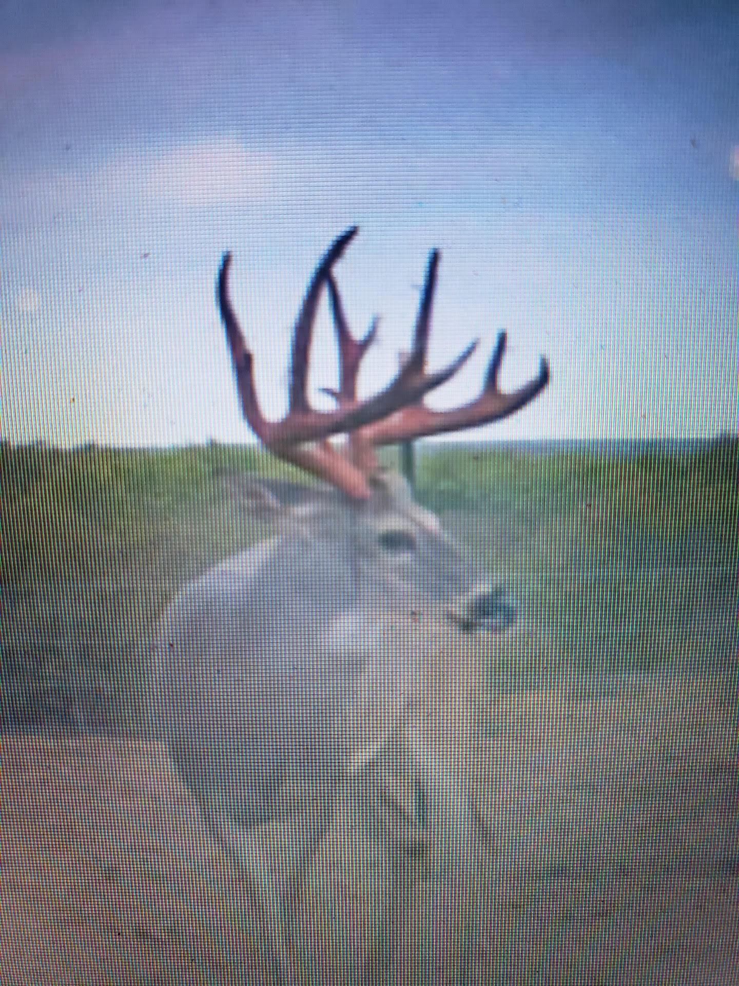 Crystal City, Zavala County, TX Farms and Ranches, Recreational