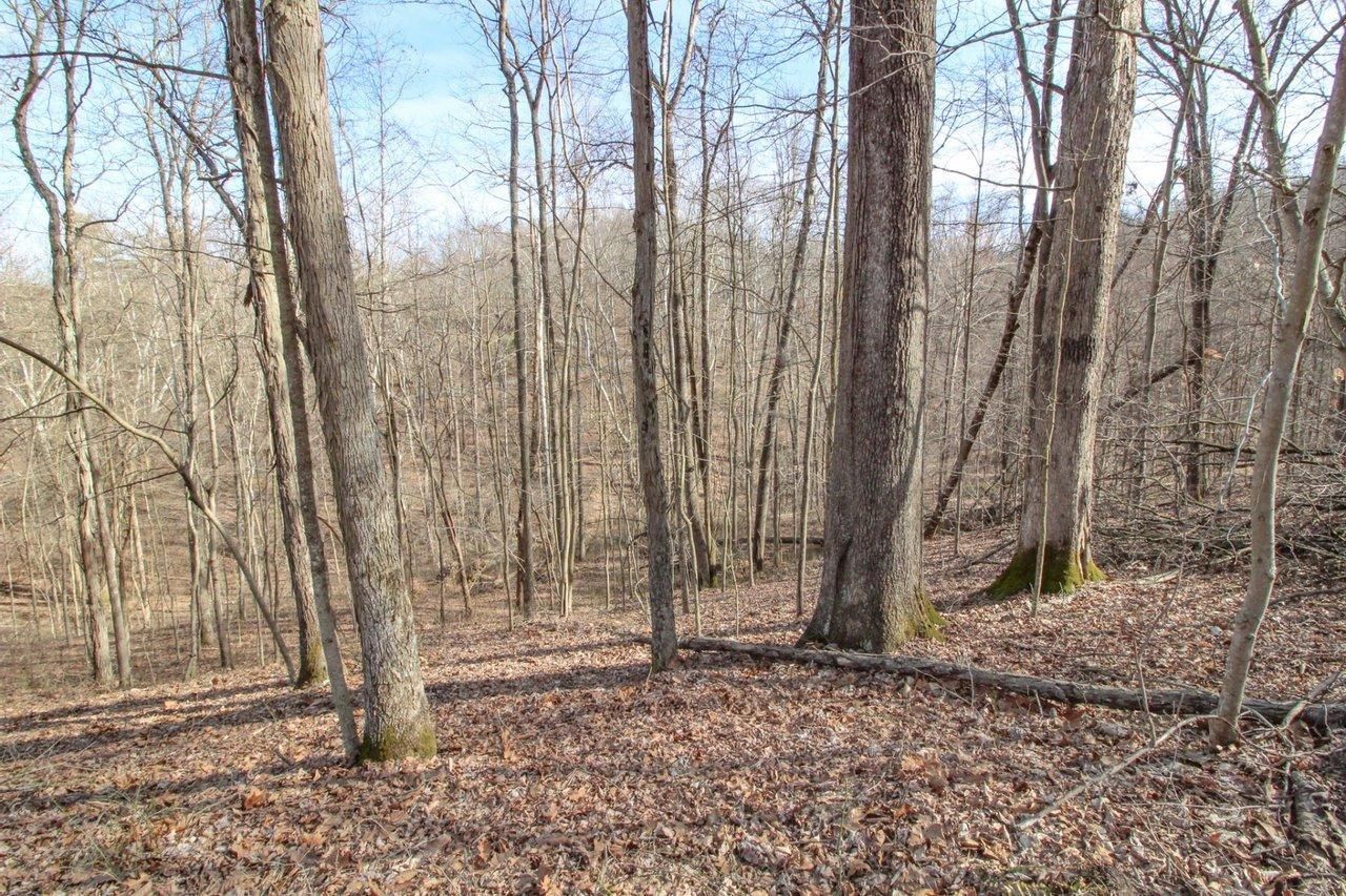 Logan, Hocking County, OH Recreational Property, Hunting Property for