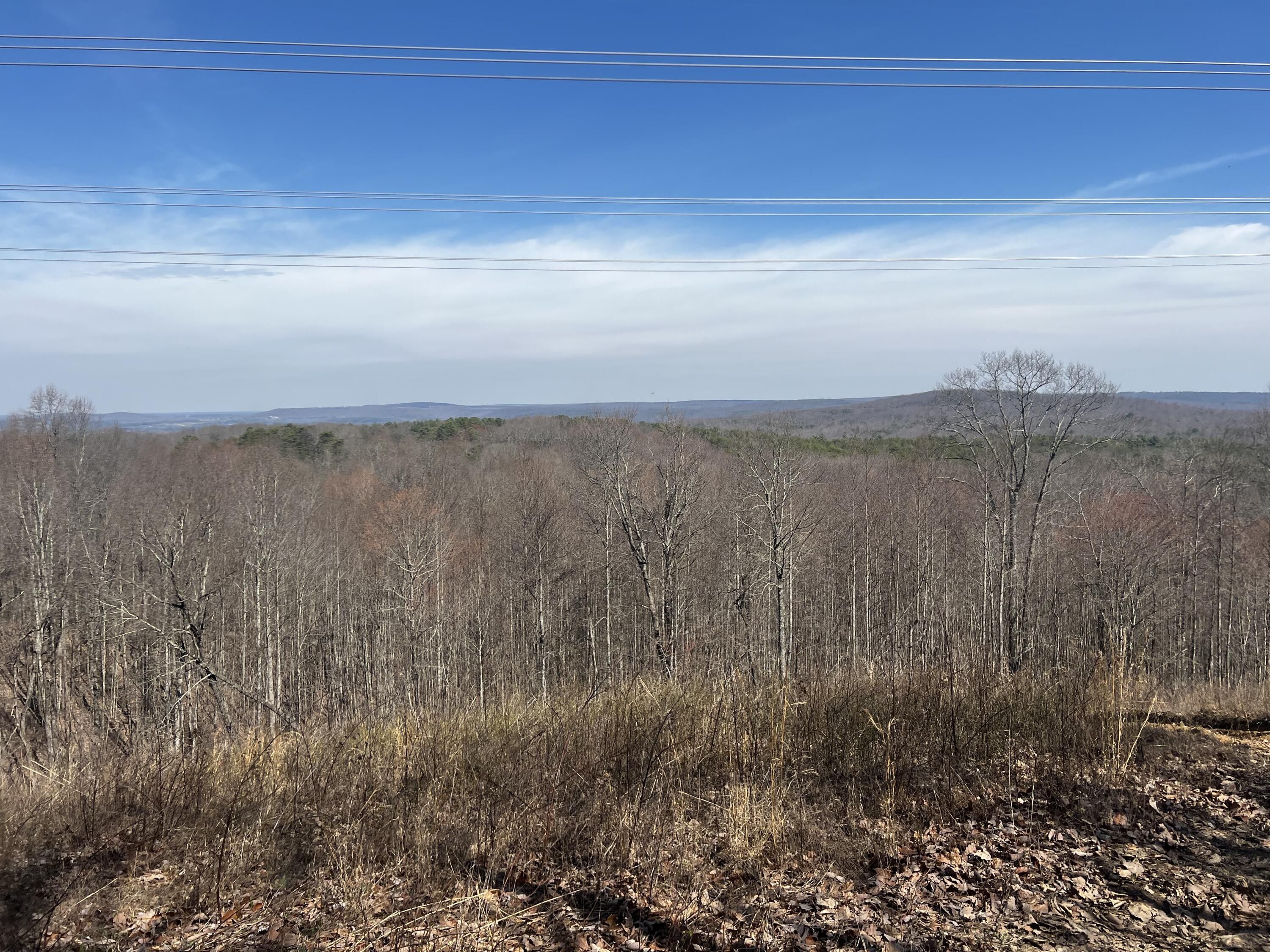 Palmer, Grundy County, TN Undeveloped Land for sale Property ID