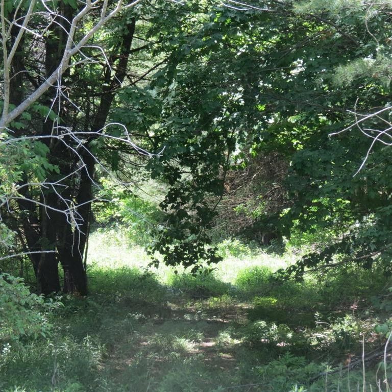 New Lisbon, Otsego County, NY Undeveloped Land for sale Property ID