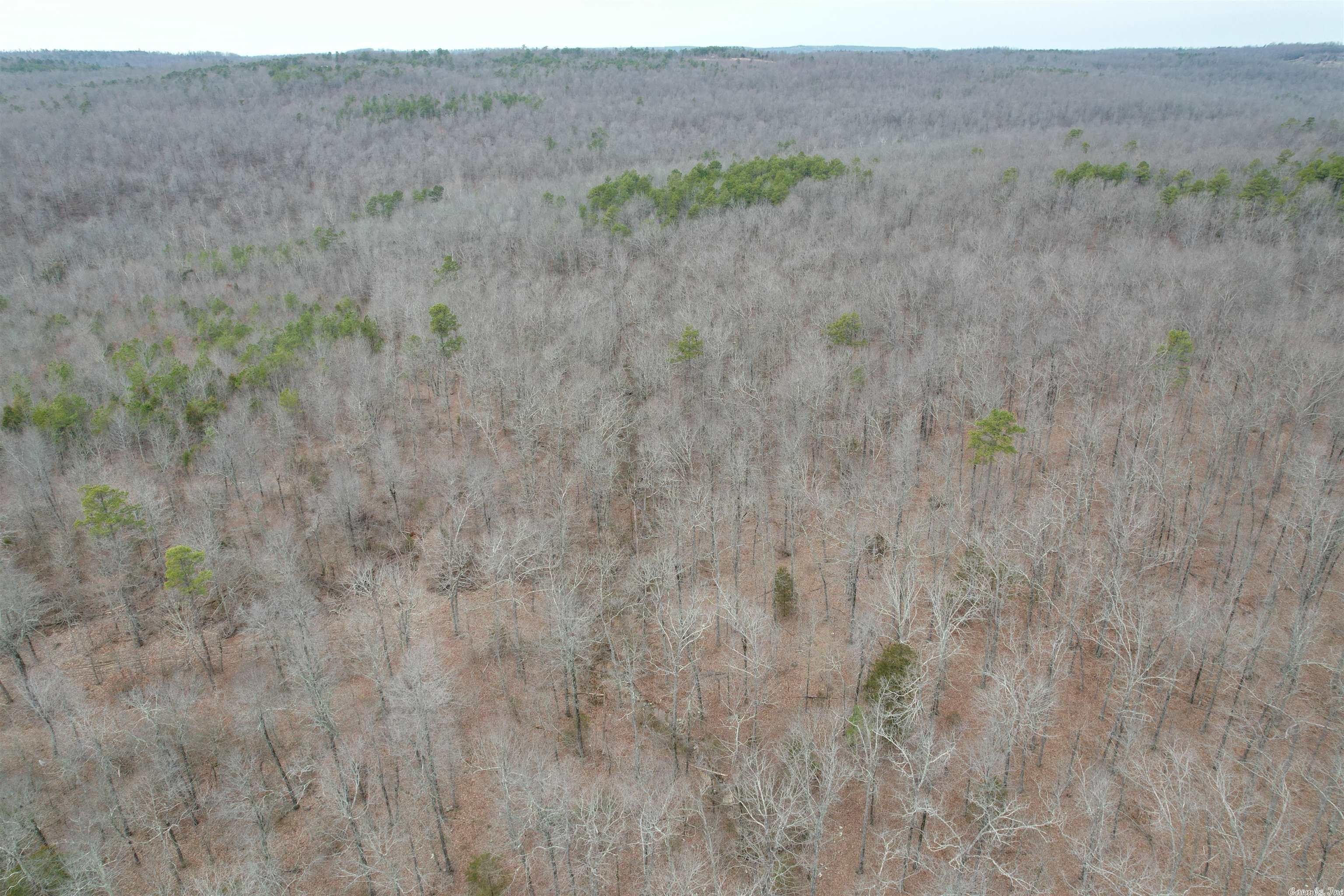 Leslie, Searcy County, AR Undeveloped Land for sale Property ID