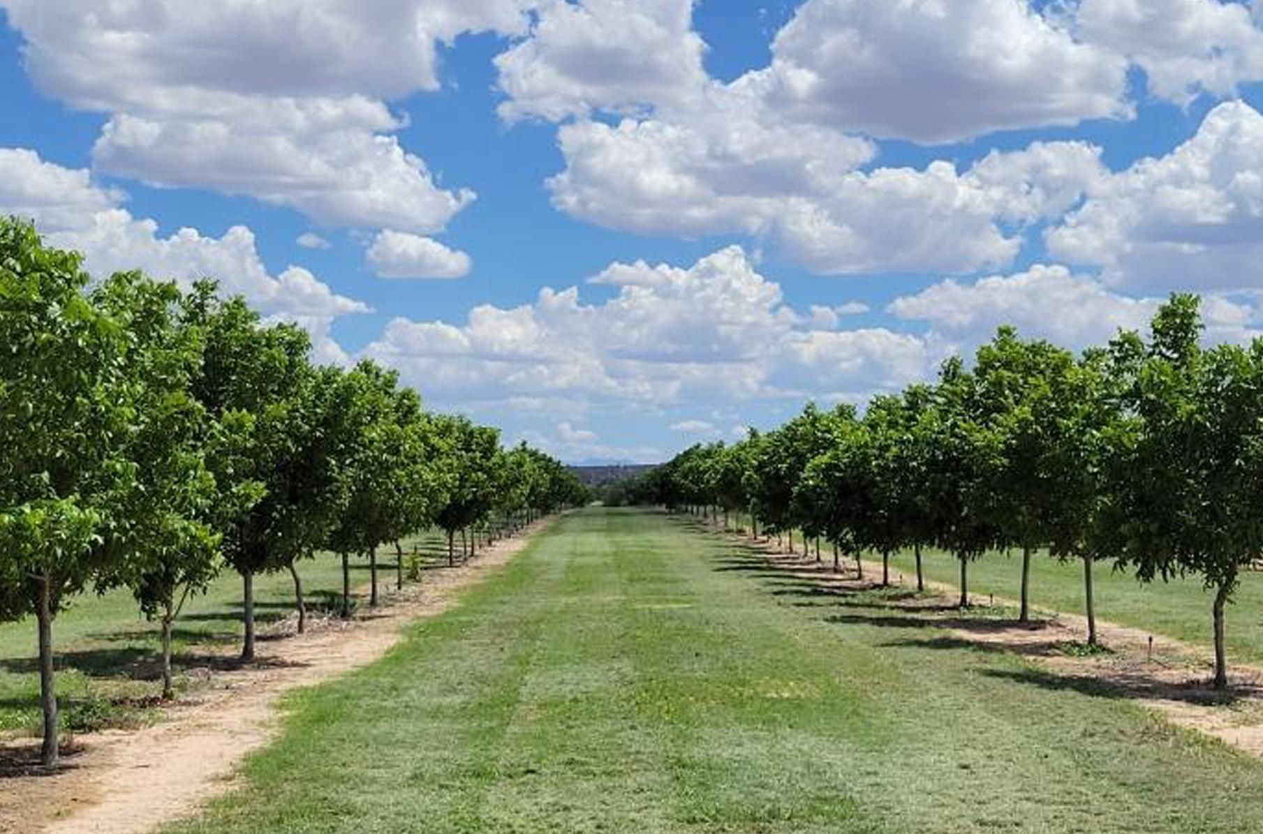 benson-cochise-county-az-farms-and-ranches-for-sale-property-id