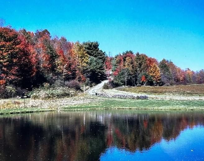 Chenango Forks, Broome County, NY Recreational Property, Hunting