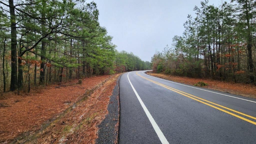 Carthage, Dallas County, AR Timberland Property, Undeveloped Land