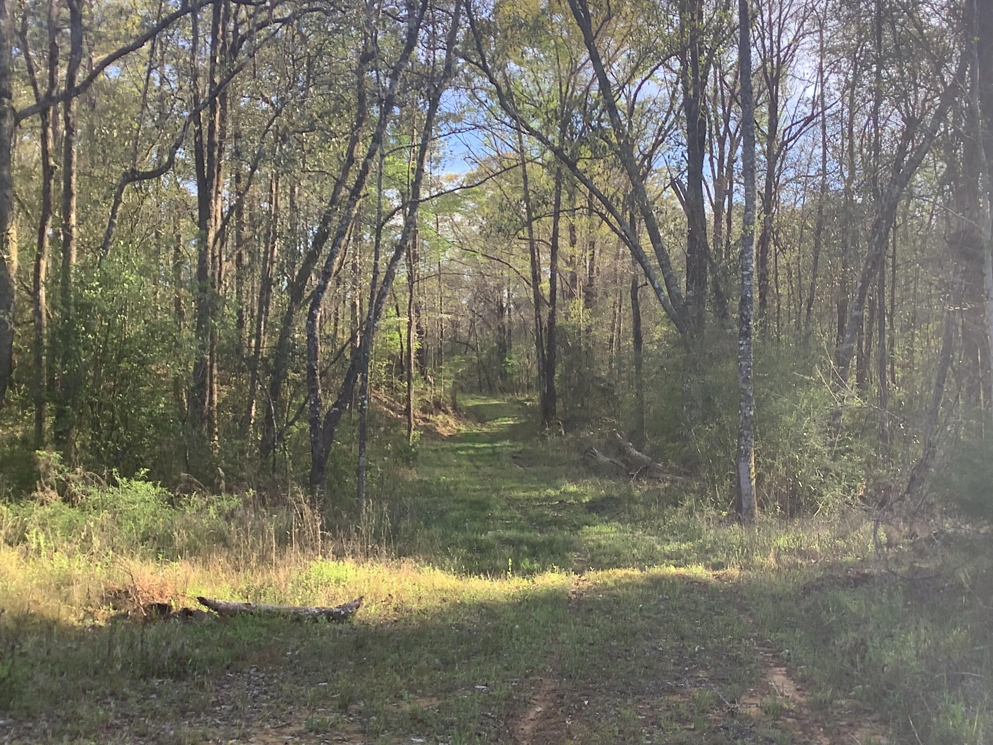 Andalusia, Covington County, AL Recreational Property, Timberland