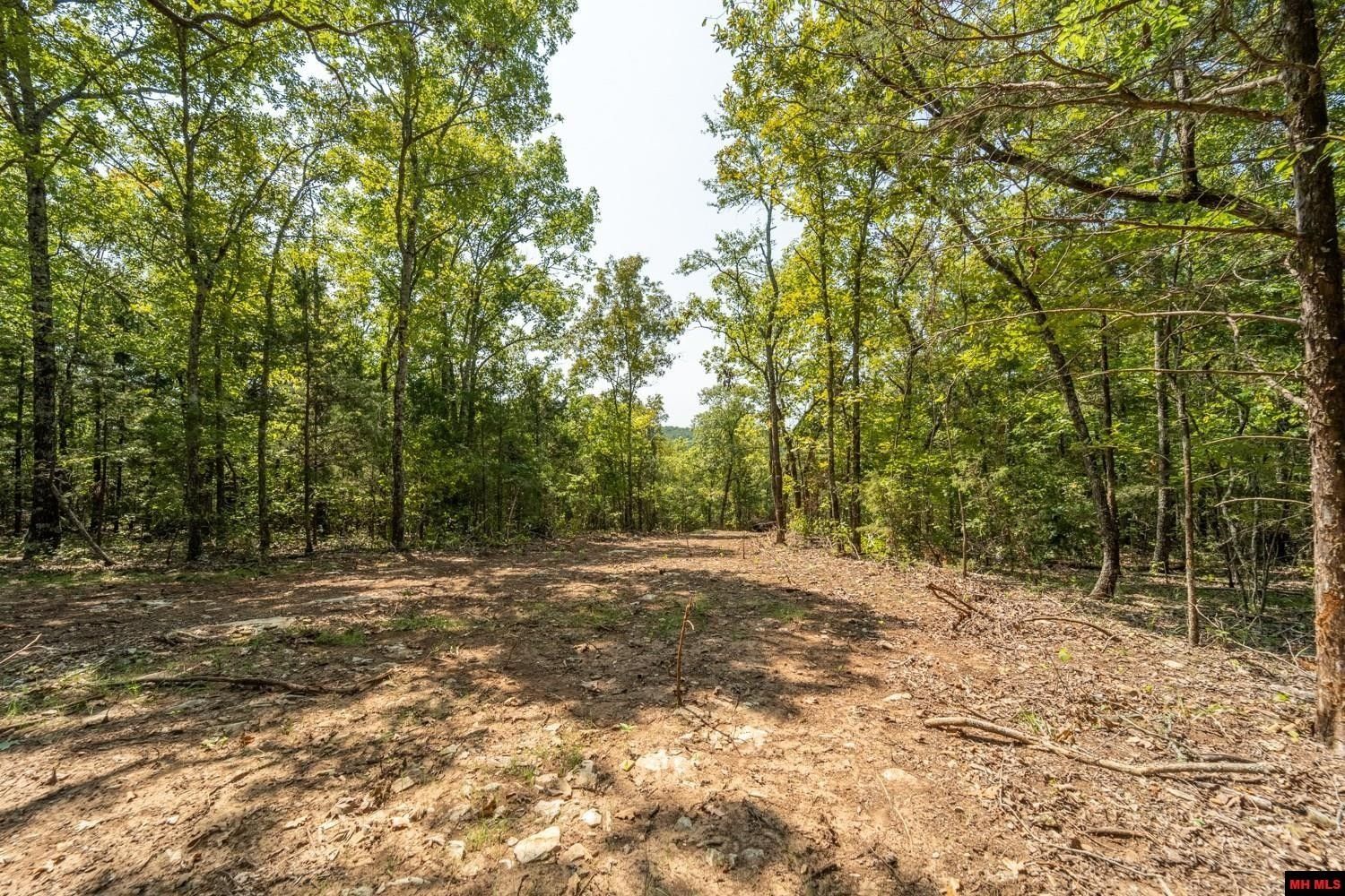 Mountain Home, Baxter County, AR Undeveloped Land for sale Property ID