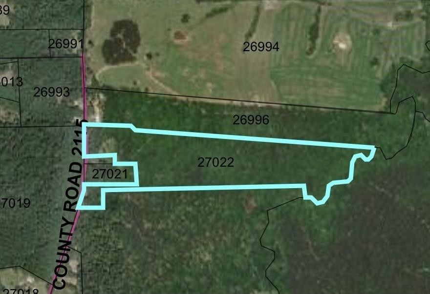 Shelbyville, Shelby County, TX Undeveloped Land for sale Property ID