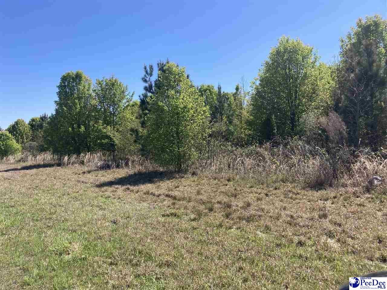 Little Rock, Dillon County, SC Homesites for sale Property ID