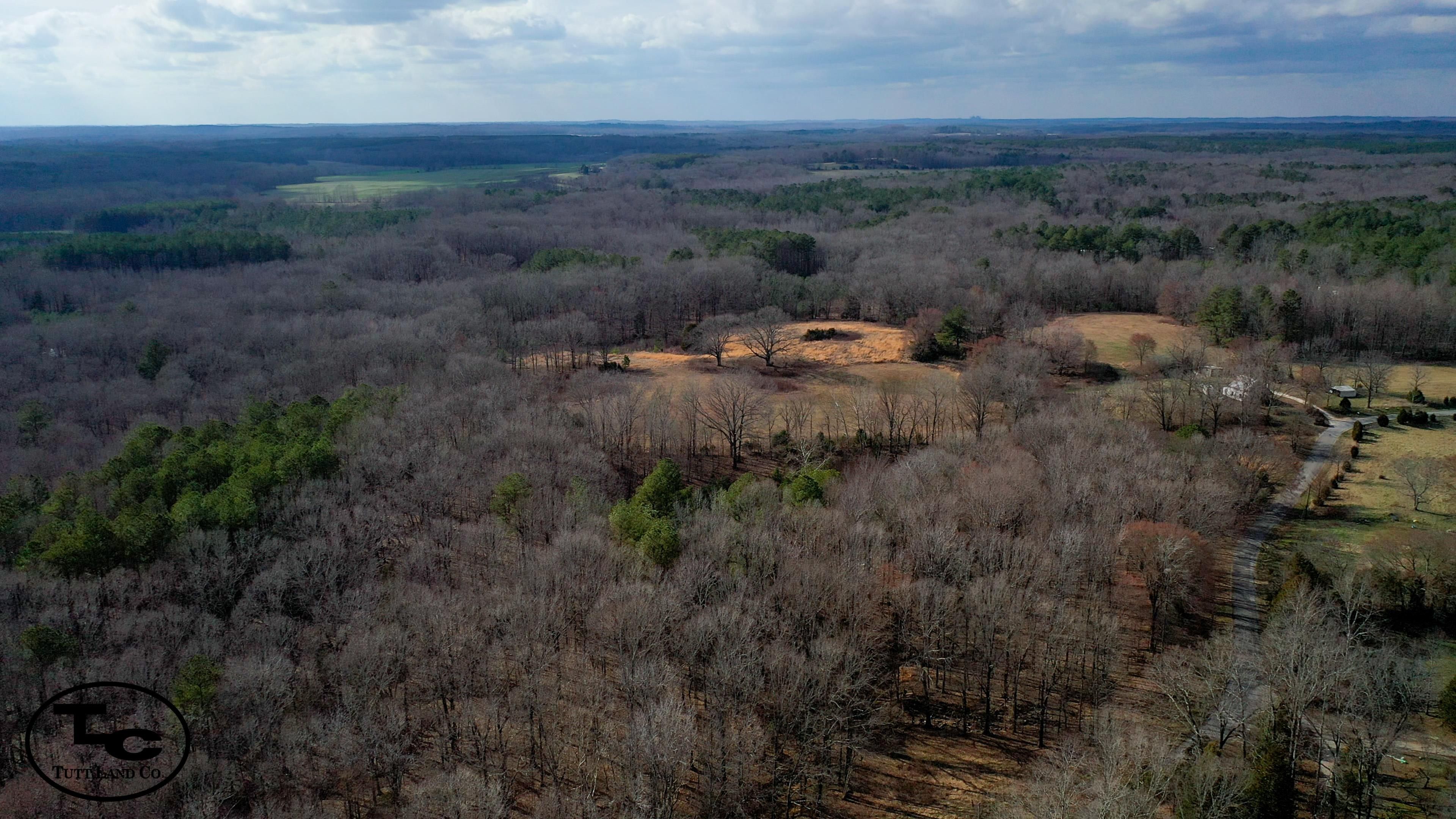 Hollow Rock, Carroll County, TN Farms and Ranches, Timberland Property