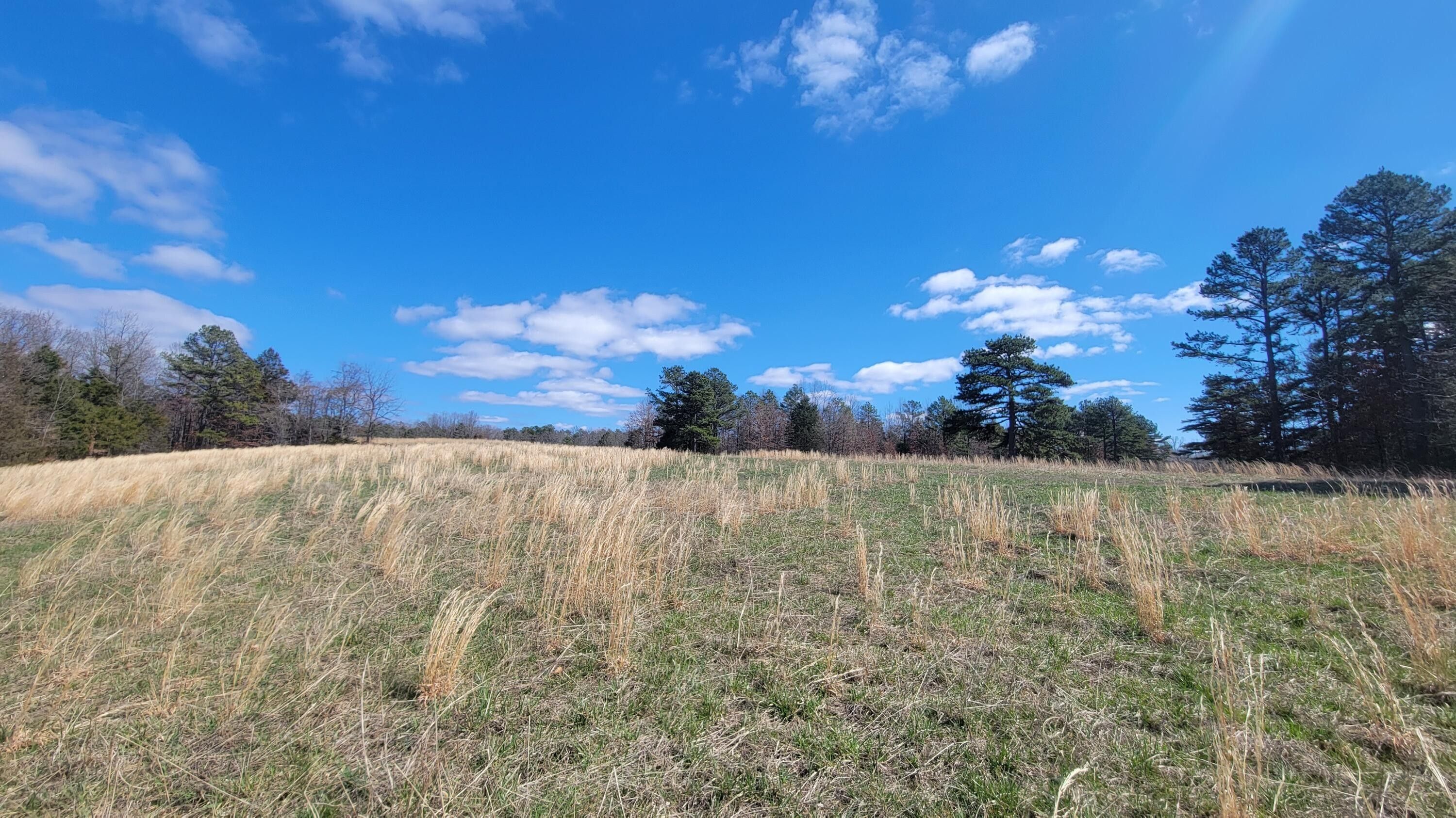 Willow Springs, Howell County, MO Undeveloped Land for sale Property ID