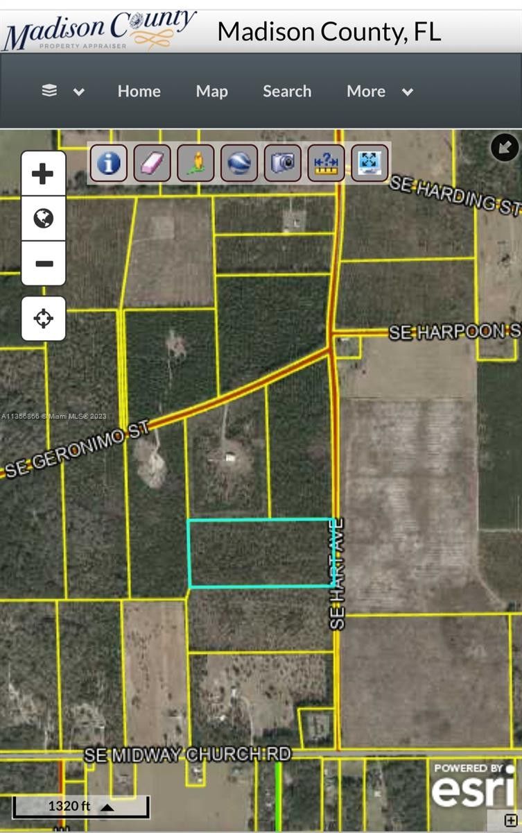 Lee, Madison County, FL Undeveloped Land for sale Property ID