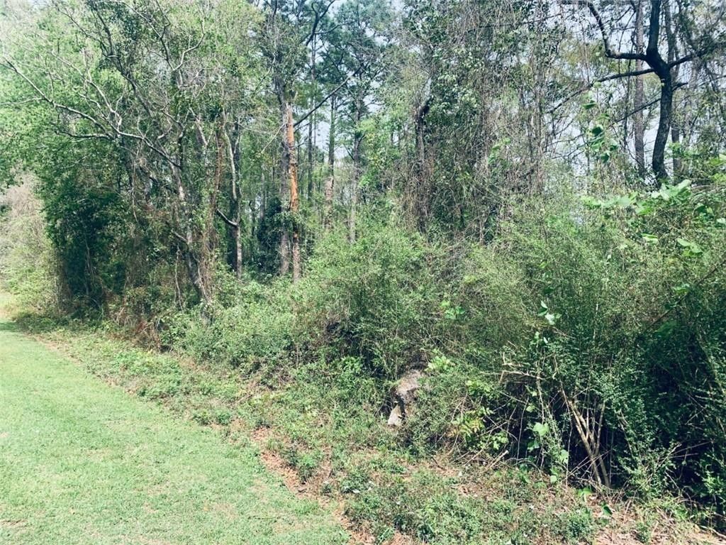 Bay Baldwin County, AL Undeveloped Land, Lakefront Property