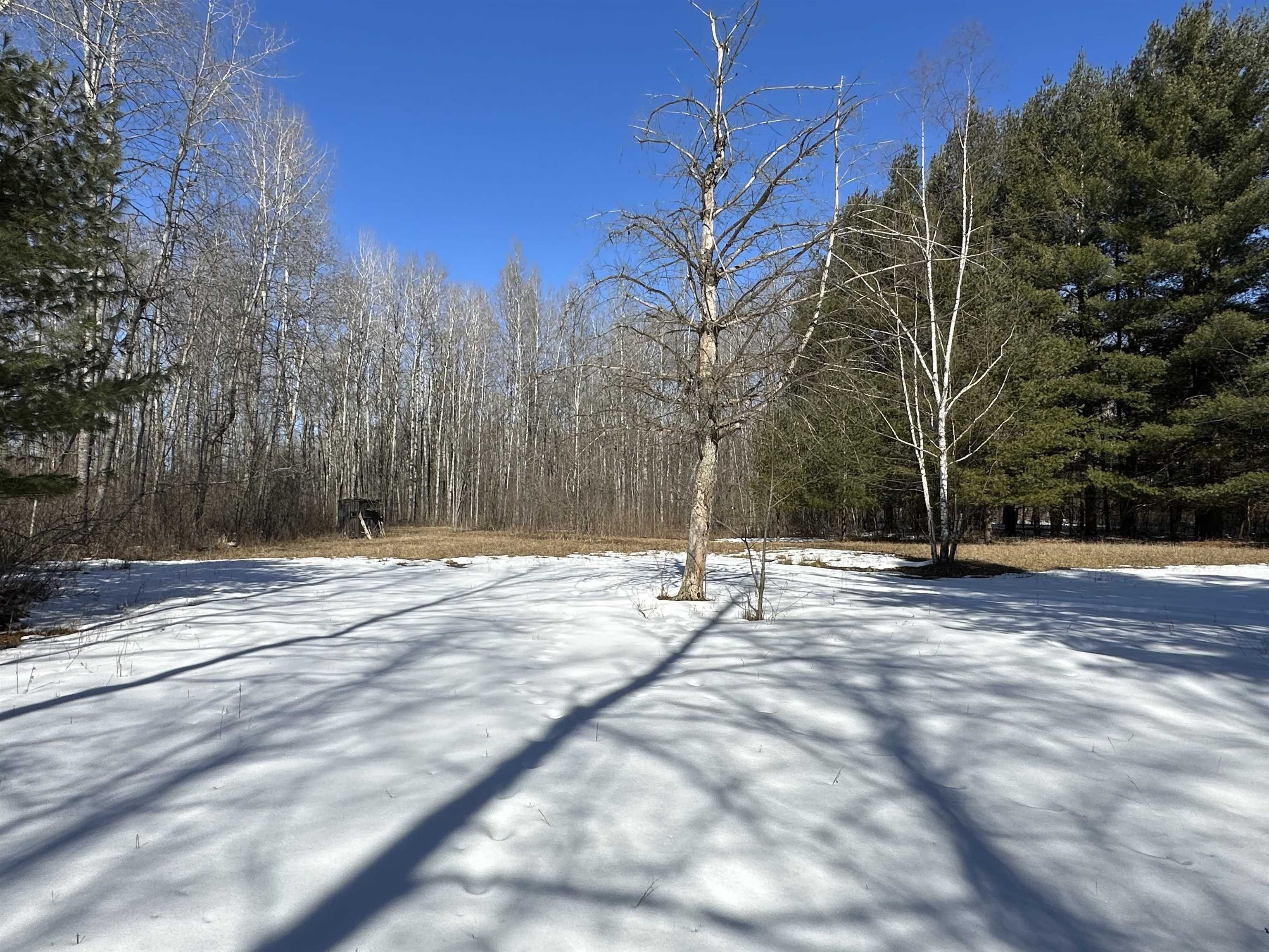 Gladwin, Gladwin County, MI Undeveloped Land, Lakefront Property