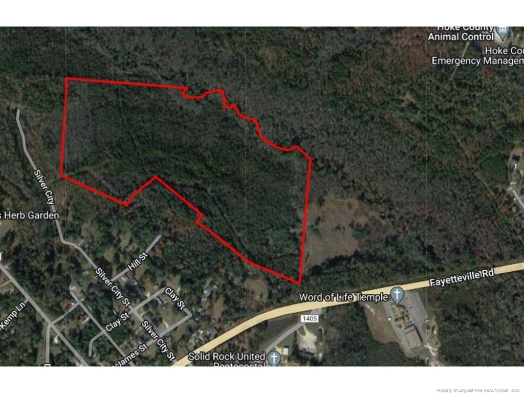 Raeford, Hoke County, NC Undeveloped Land for sale Property ID