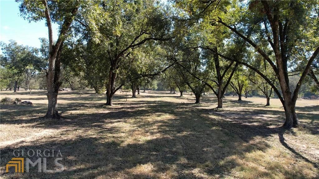 Sparta, Hancock County, GA Undeveloped Land, Lakefront Property
