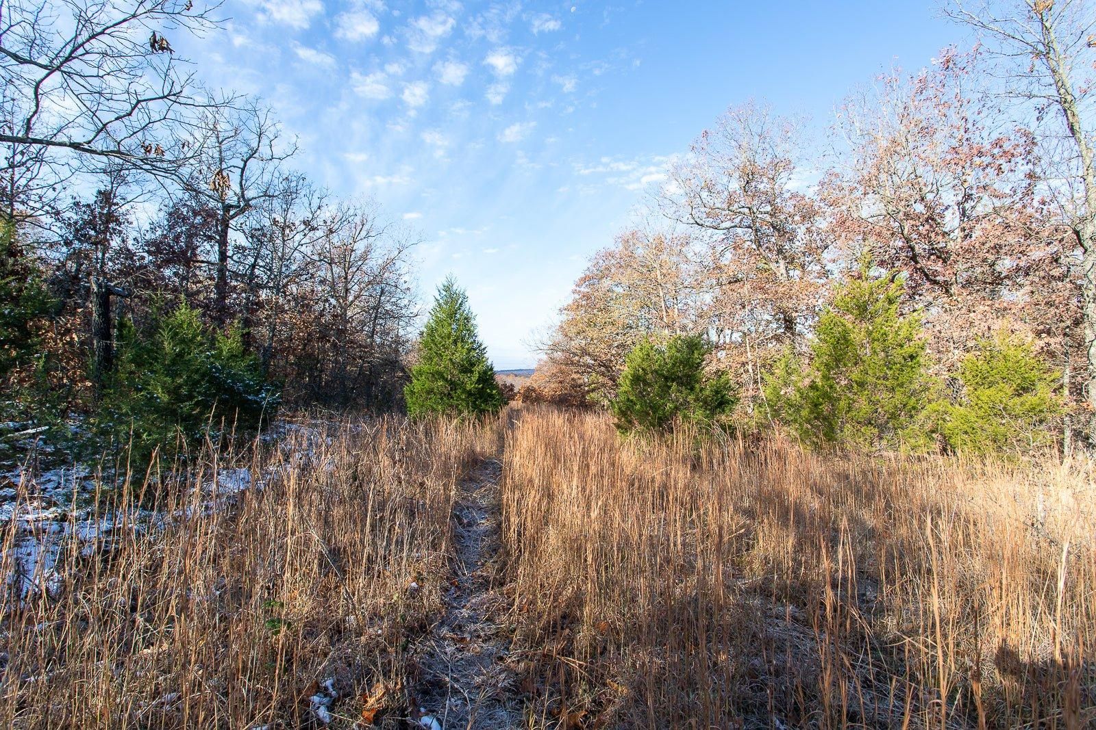 Horseshoe Bend, Izard County, AR Recreational Property, Undeveloped