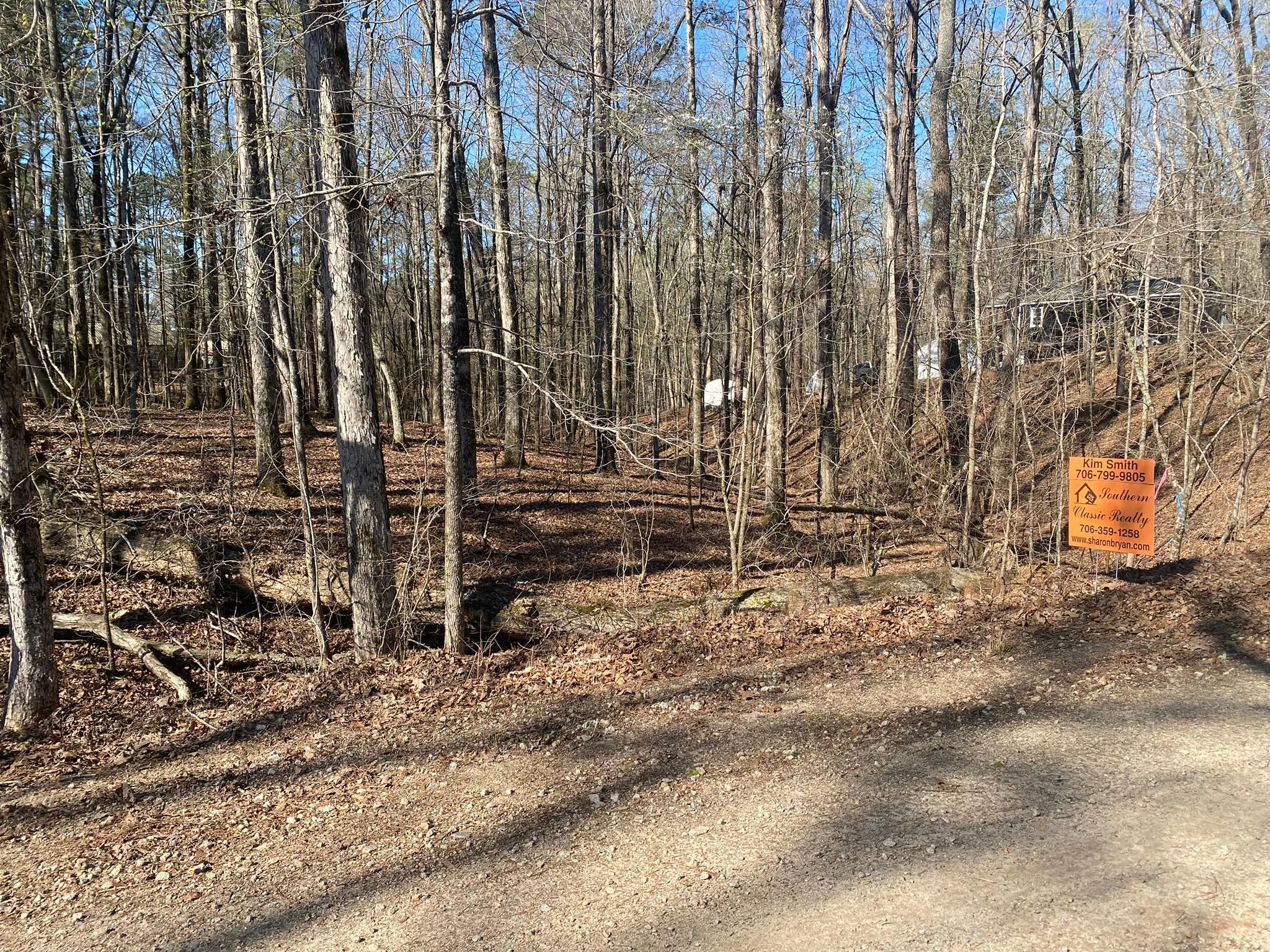 Lincolnton, Lincoln County, GA Recreational Property, Undeveloped Land