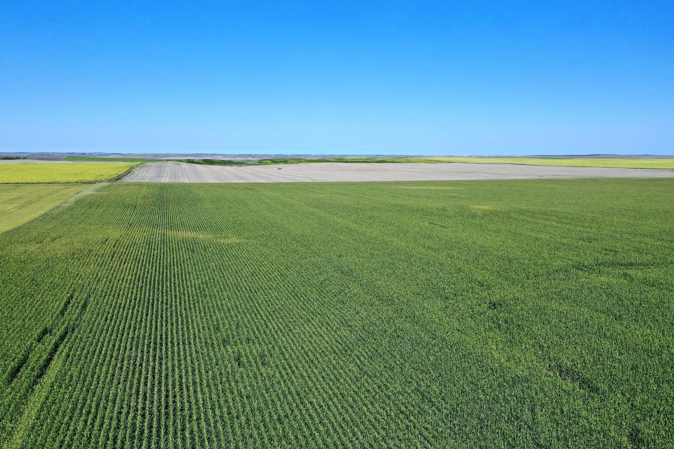 Martin, County, SD Farms and Ranches for sale Property ID