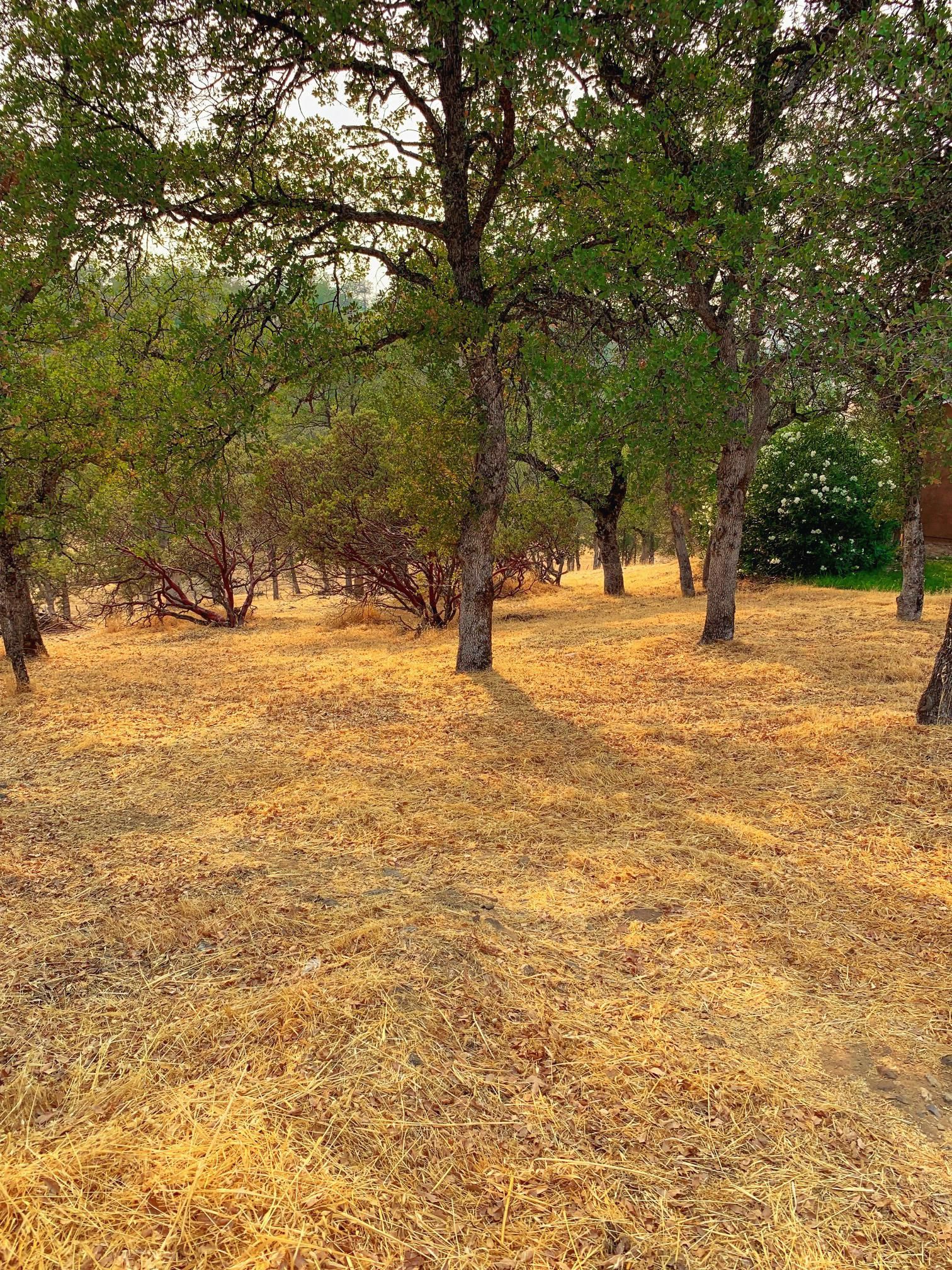 Cottonwood, Tehama County, CA Recreational Property, Undeveloped Land, Homesites for sale