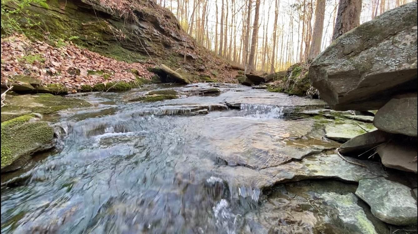 SardisAirport Road, Addison, AL 35540 MLS 222040 LandWatch