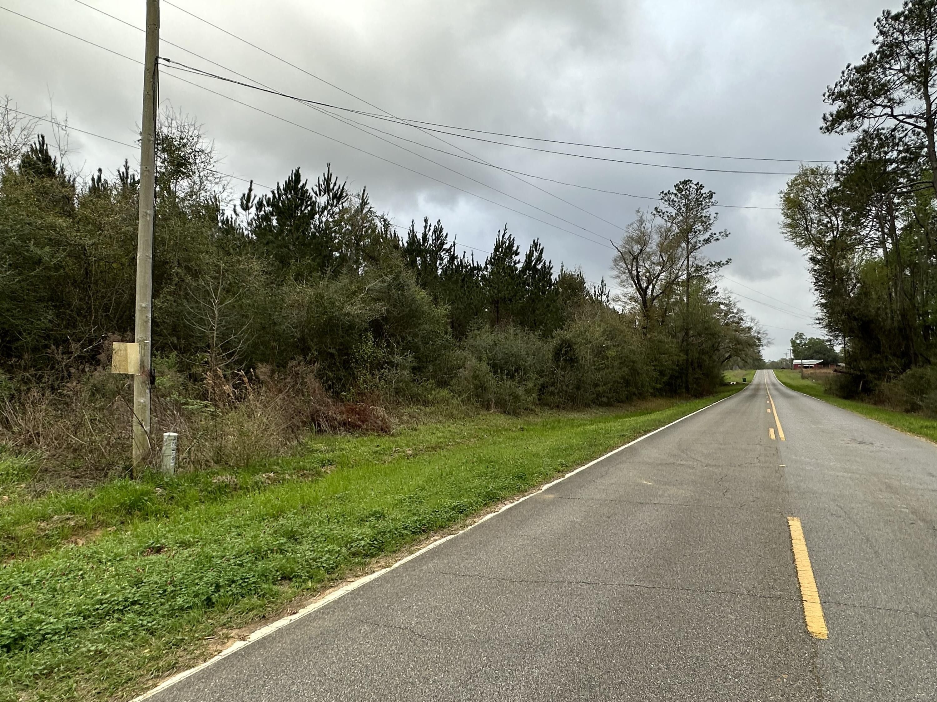 Vernon, Washington County, FL Undeveloped Land for sale Property ID