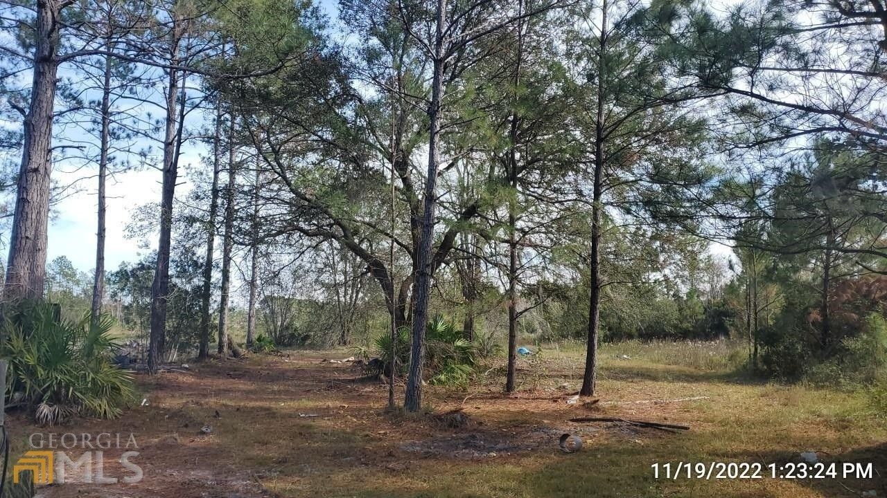 Folkston, Charlton County, GA Undeveloped Land for sale Property ID