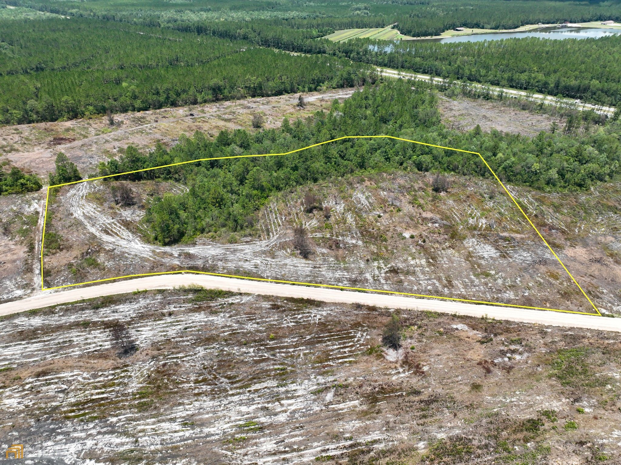 Nahunta, Brantley County, GA Undeveloped Land for sale Property ID