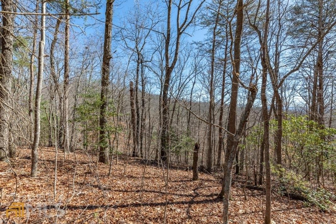 Union County, GA Undeveloped Land for sale Property ID 416032747 LandWatch