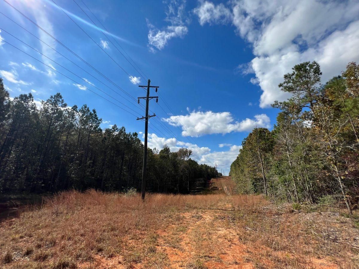 Magee, Simpson County, MS Recreational Property, Timberland Property