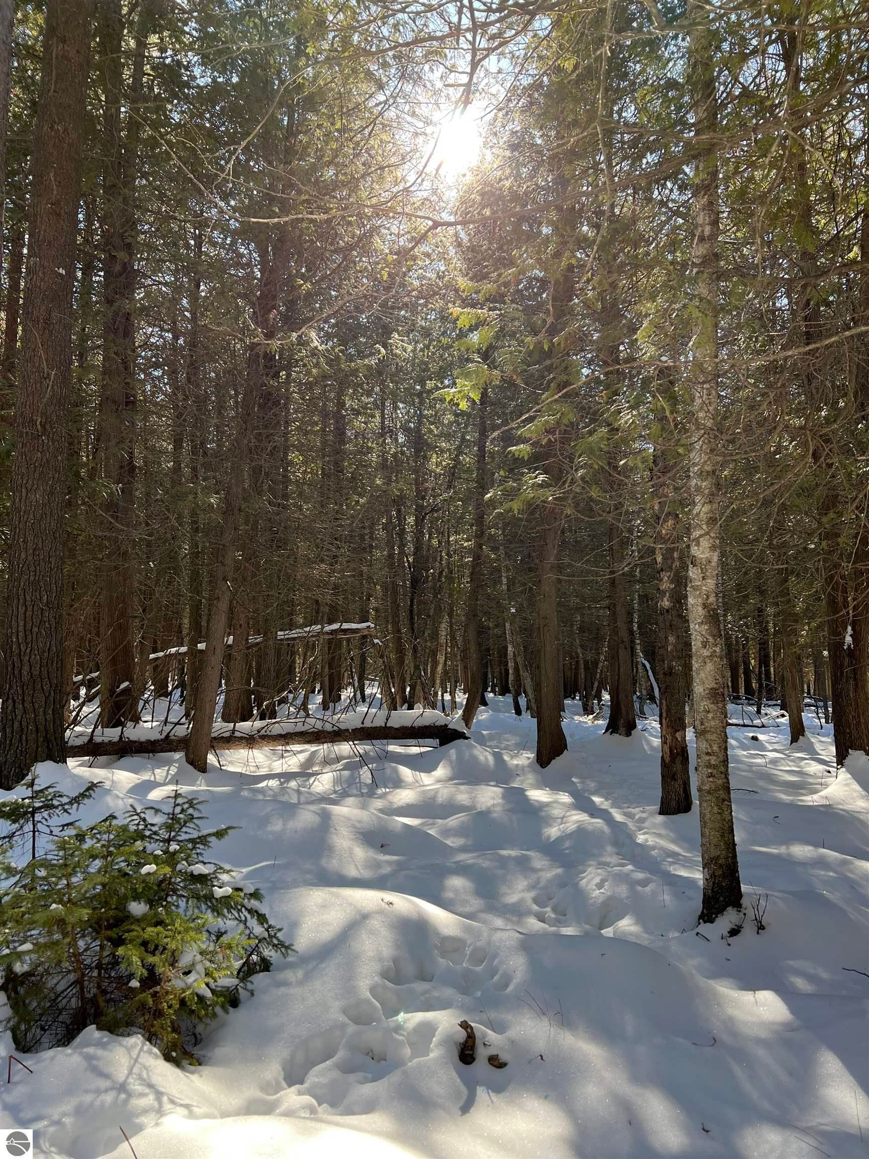 Fife Lake, Grand Traverse County, MI Undeveloped Land for sale Property ID 416038371 LandWatch