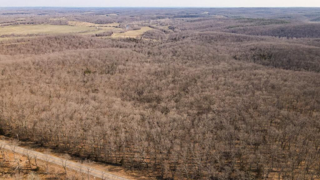Richland, Reynolds County, MO Recreational Property, Undeveloped Land