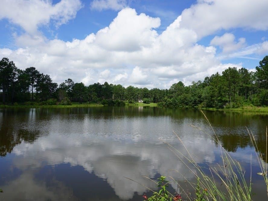 Abbeville, Wilcox County, GA Commercial Property for sale Property ID