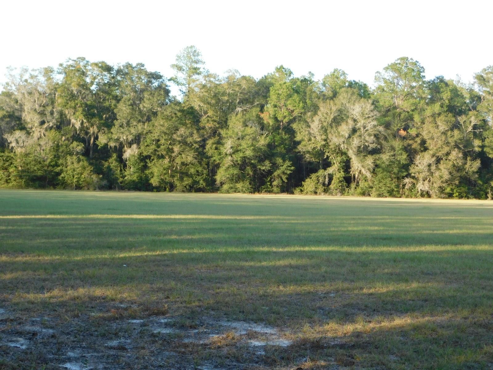 Wellborn, Suwannee County, FL Recreational Property for sale Property