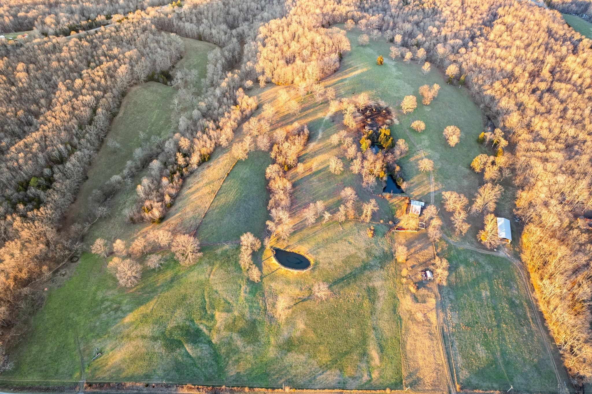 Palmyra, Montgomery County, TN Farms and Ranches, Undeveloped Land for sale Property ID