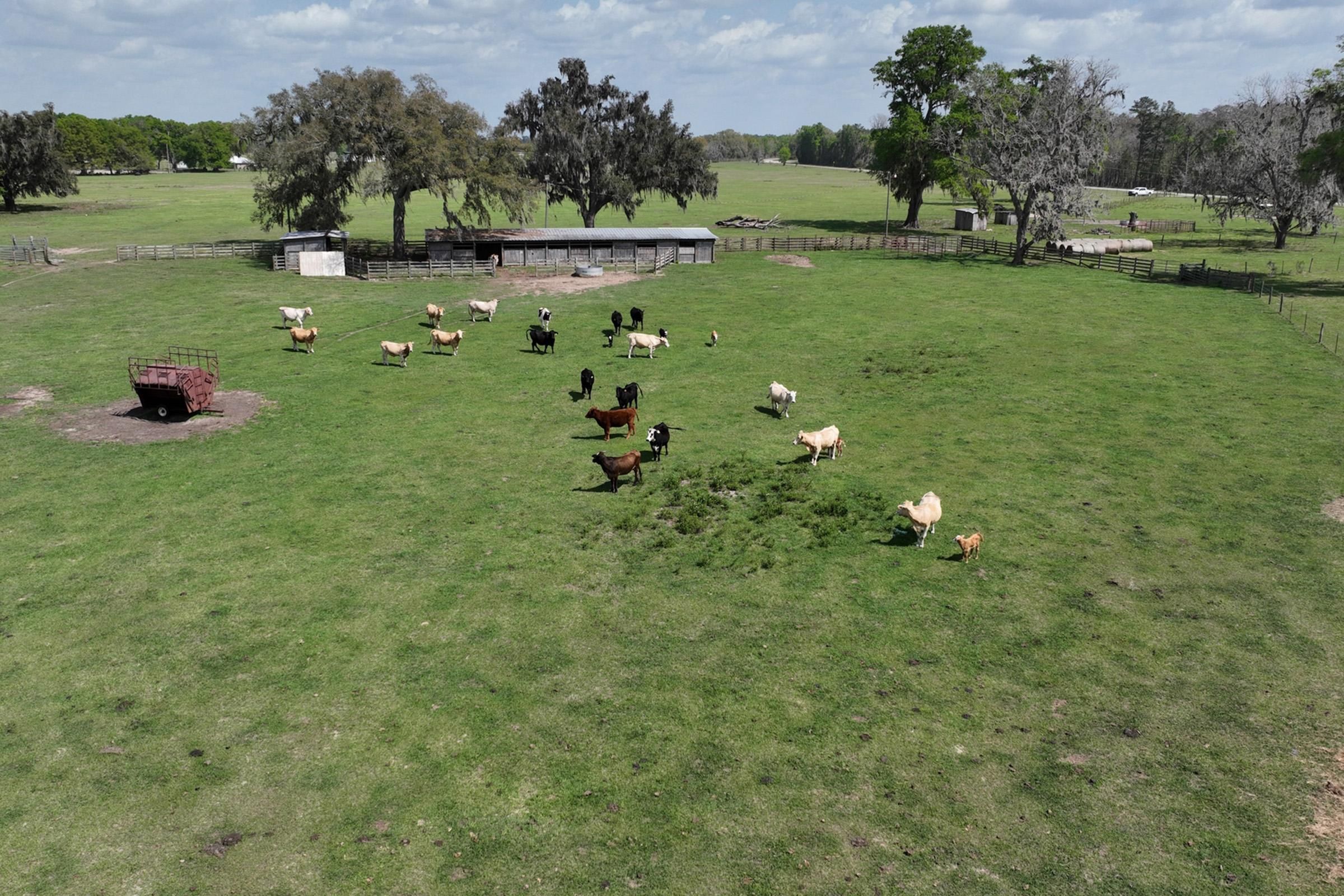 County Road 235, Brooker, FL 32622 LandWatch