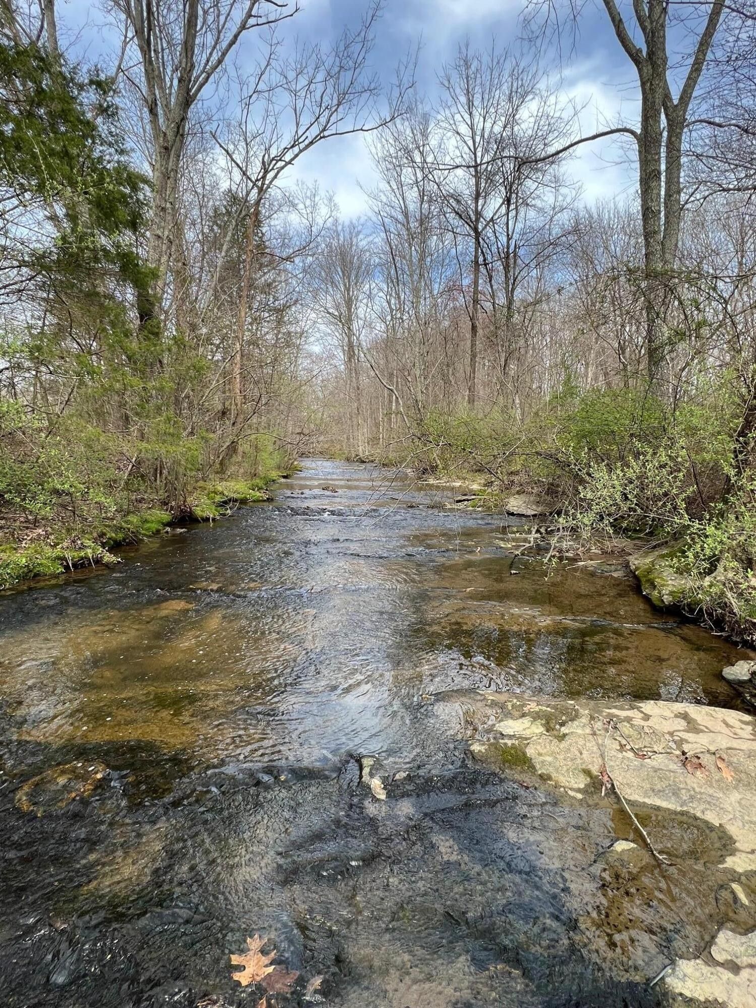 Russell Springs, Russell County, KY Farms and Ranches for sale Property