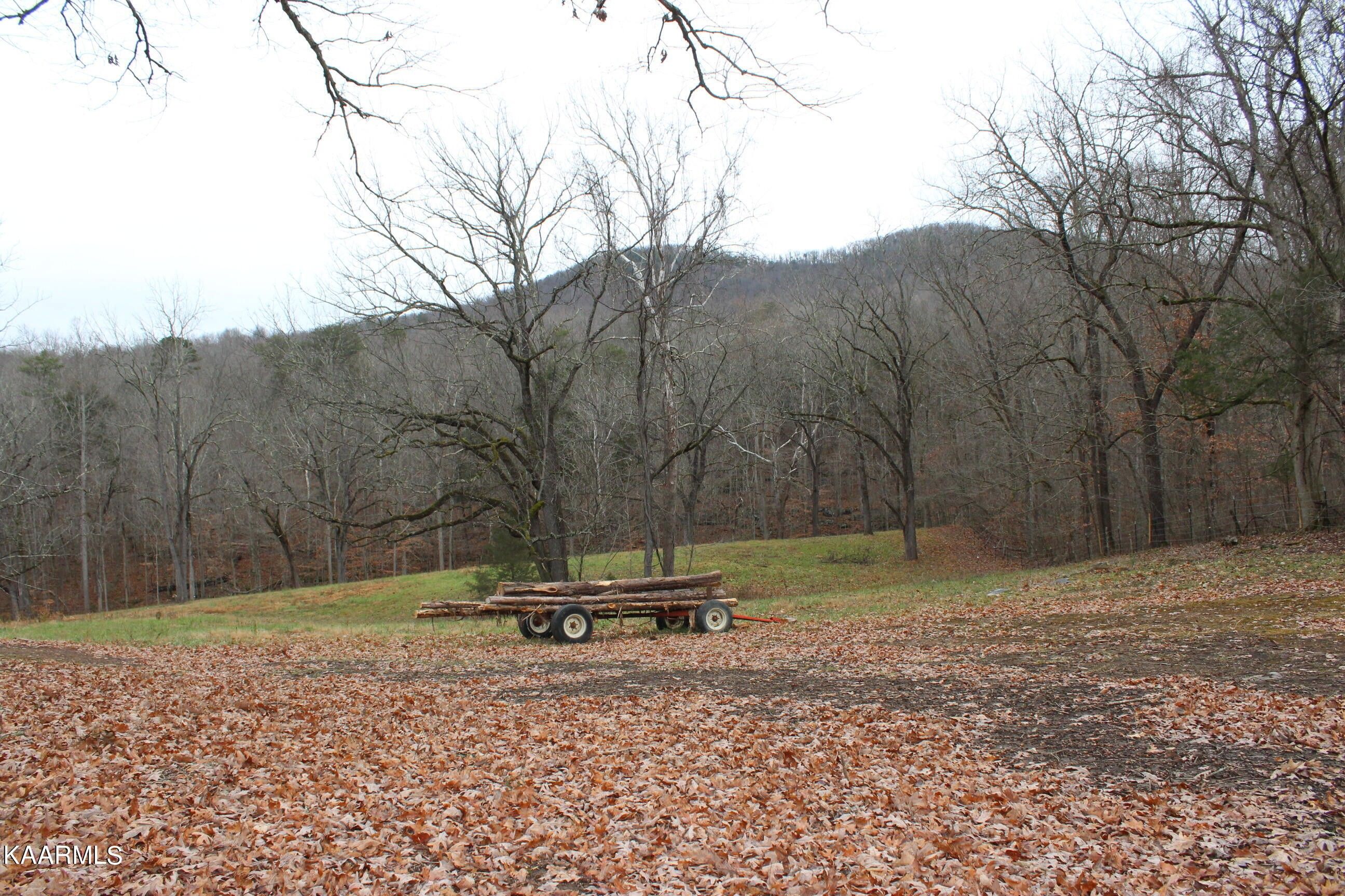 Will Patton Rd, Pall Mall, TN 38577 MLS 1221039 LandWatch