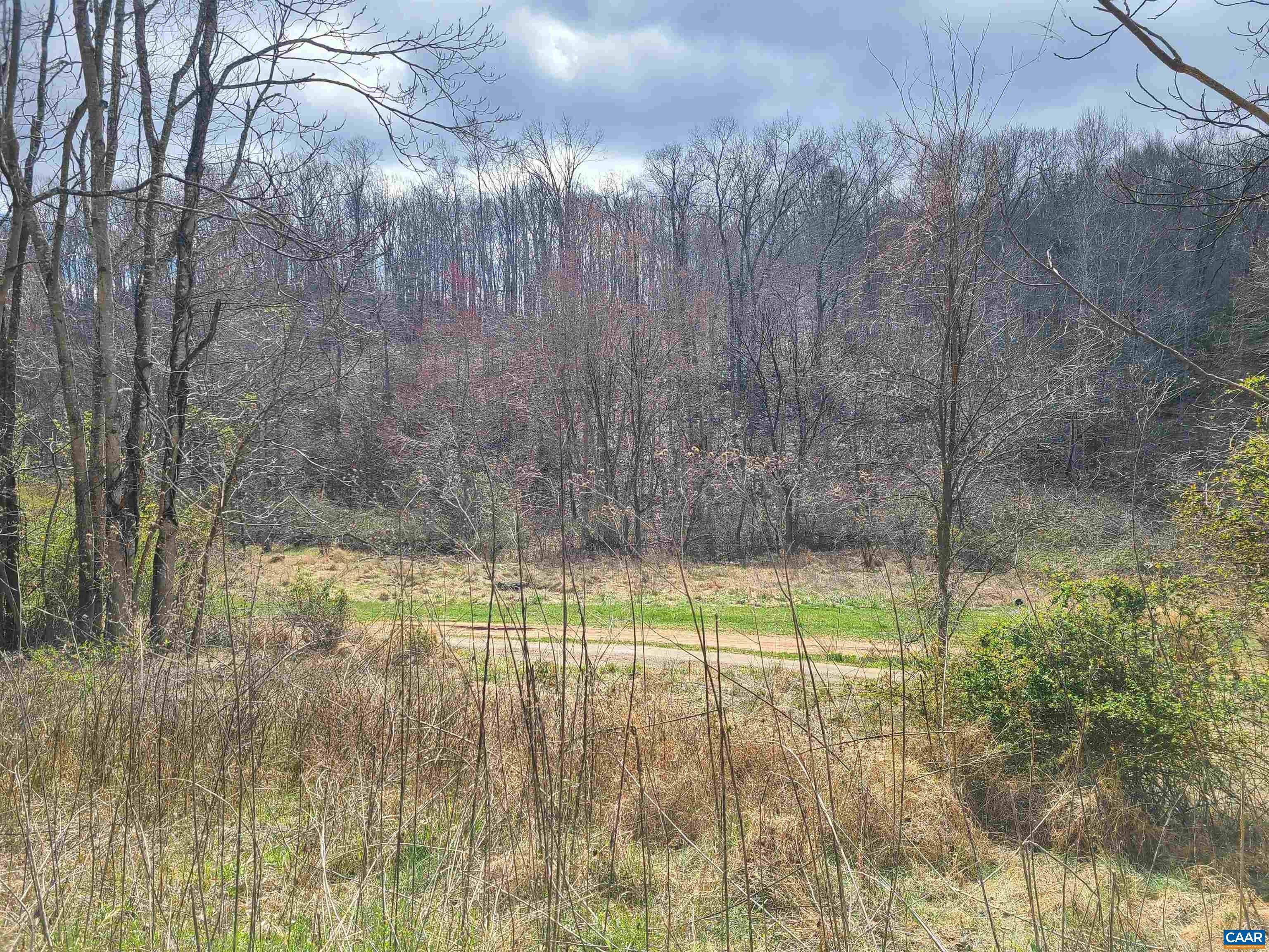 2272 WHITE MOUNTAIN RD, Afton, VA 22920 MLS 639319 LandWatch