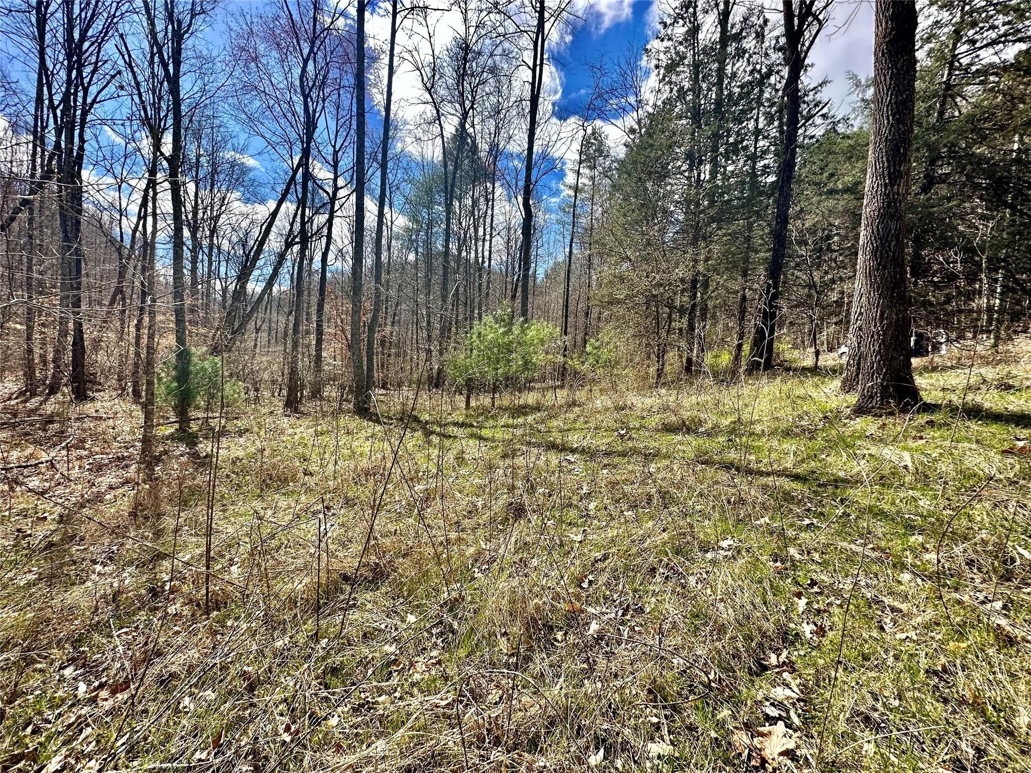 Lenoir, Caldwell County, NC Undeveloped Land for sale Property ID