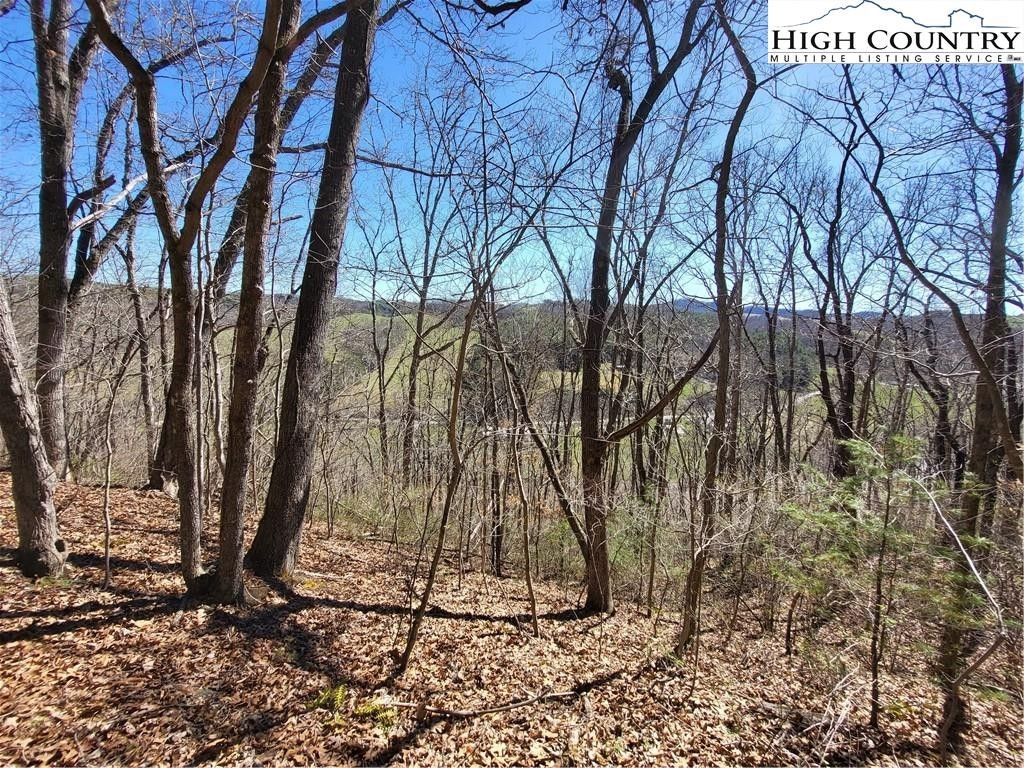 Crumpler, Ashe County, NC Farms and Ranches, Homesites for sale