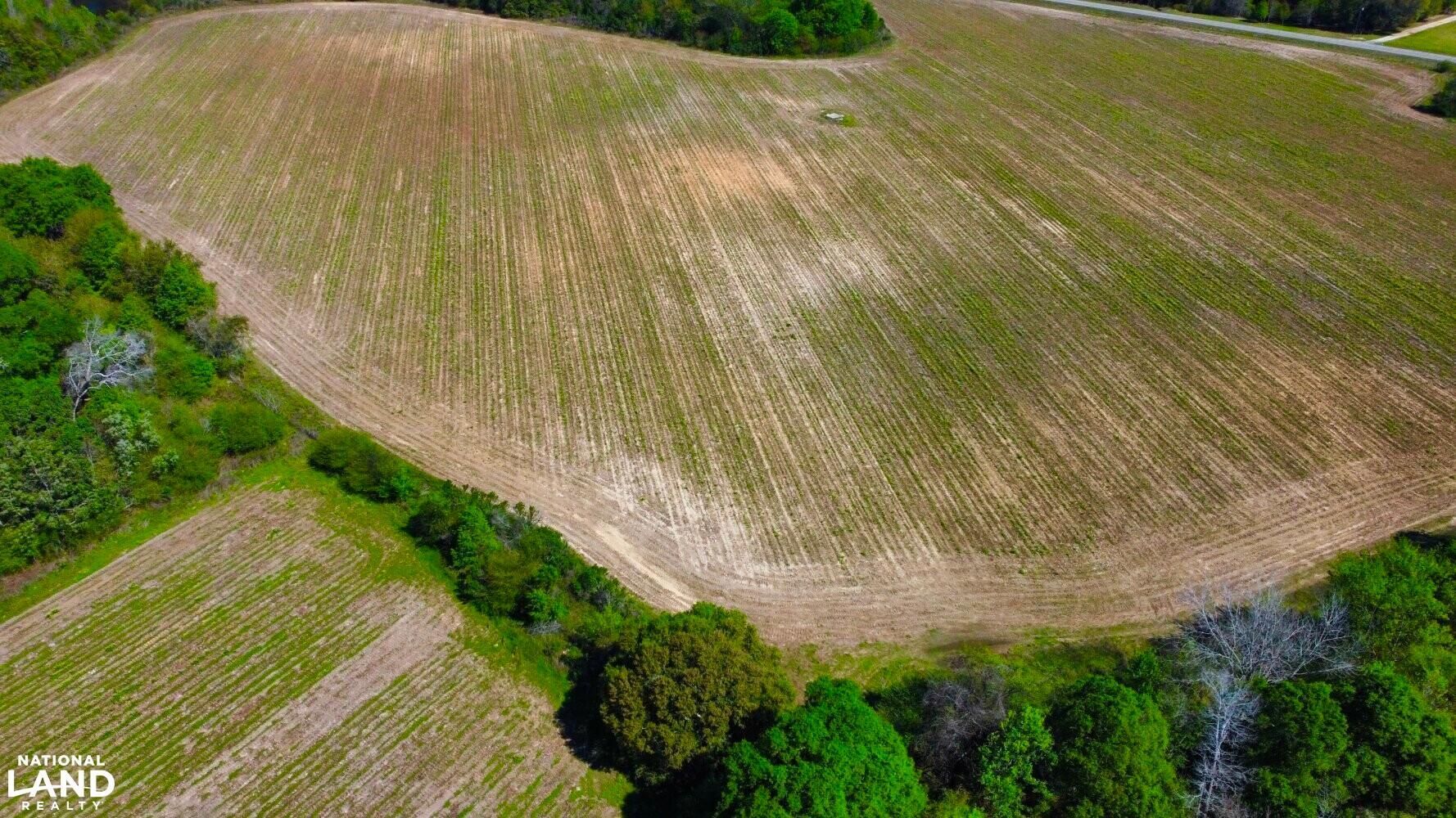 Blakely, Early County, GA Farms and Ranches, Recreational Property for
