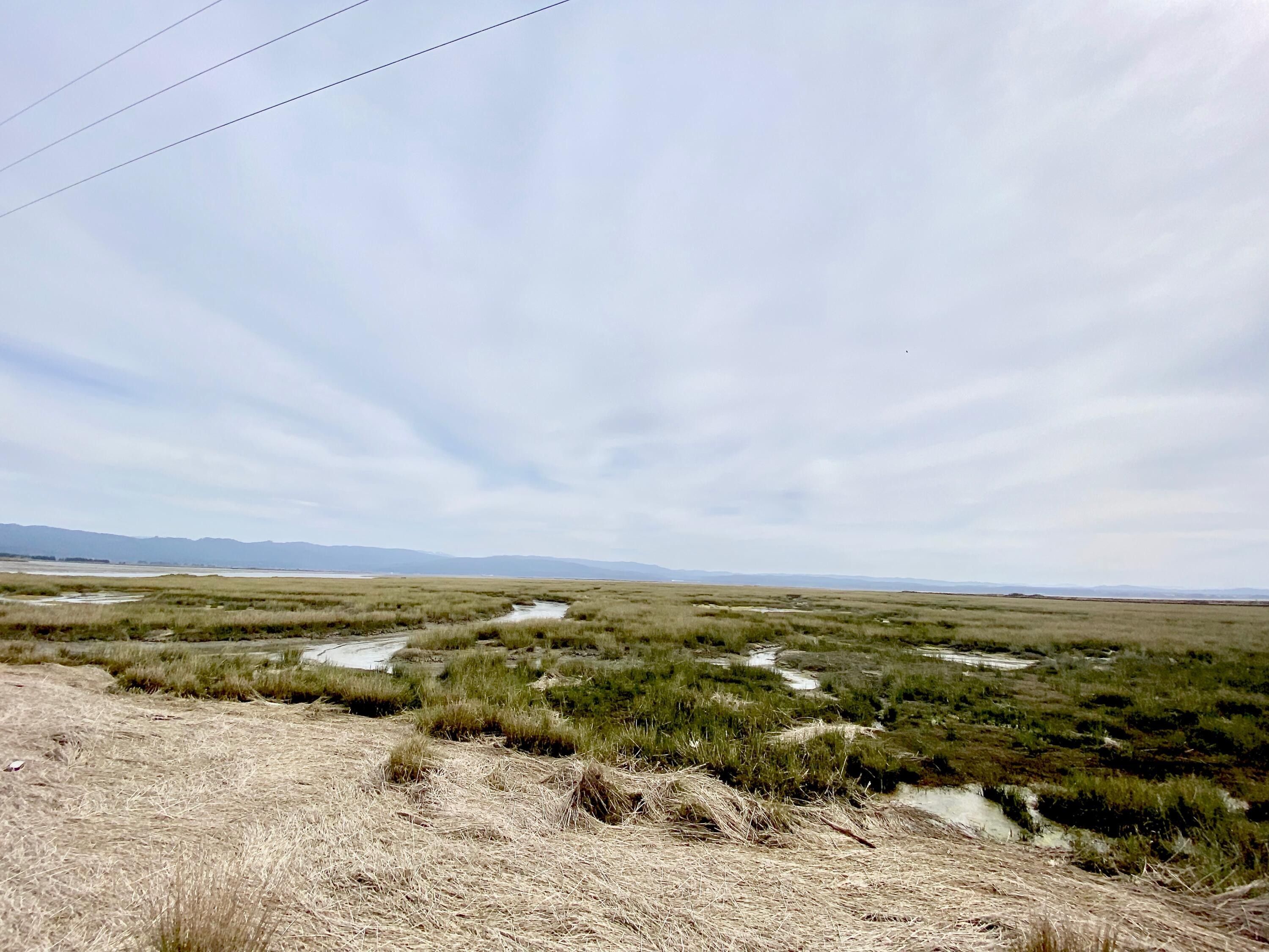 Arcata, Humboldt County, CA Undeveloped Land for sale Property ID