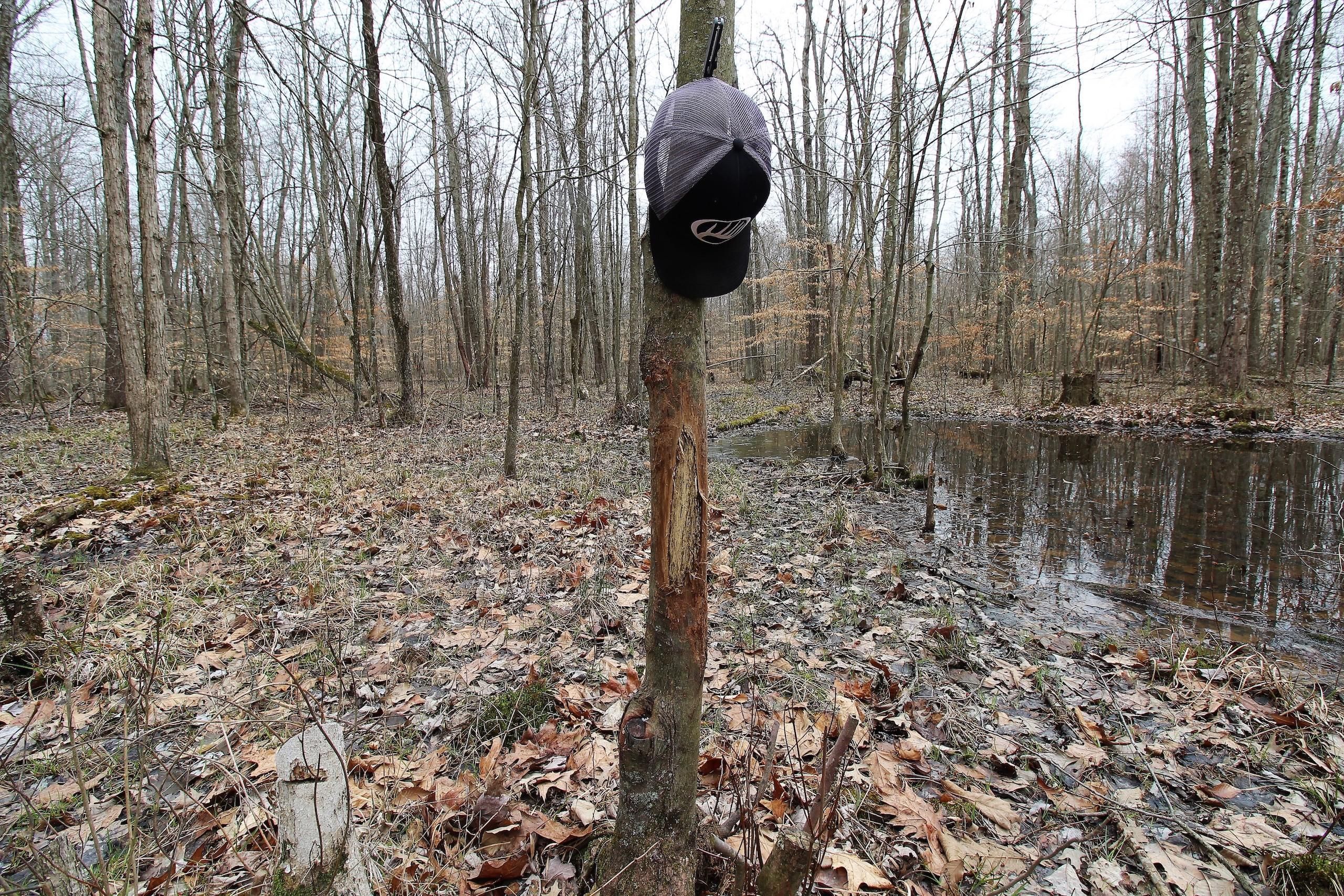 Brown County, OH Recreational Property, Timberland Property
