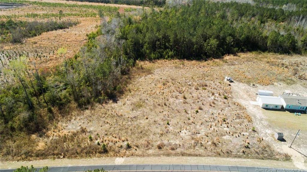 White Oak, Bladen County, NC Undeveloped Land, Homesites for sale