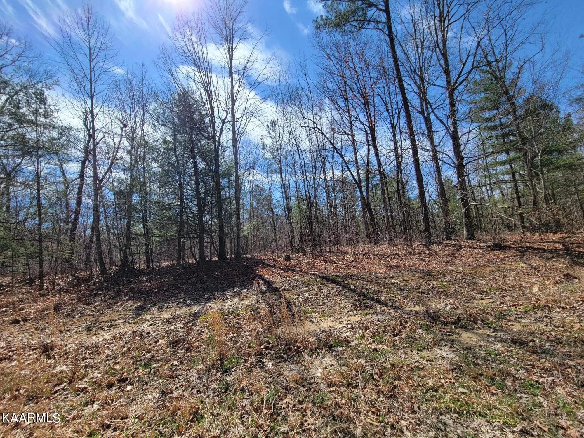 Sunbright, County, TN for sale Property ID 416002479 LandWatch