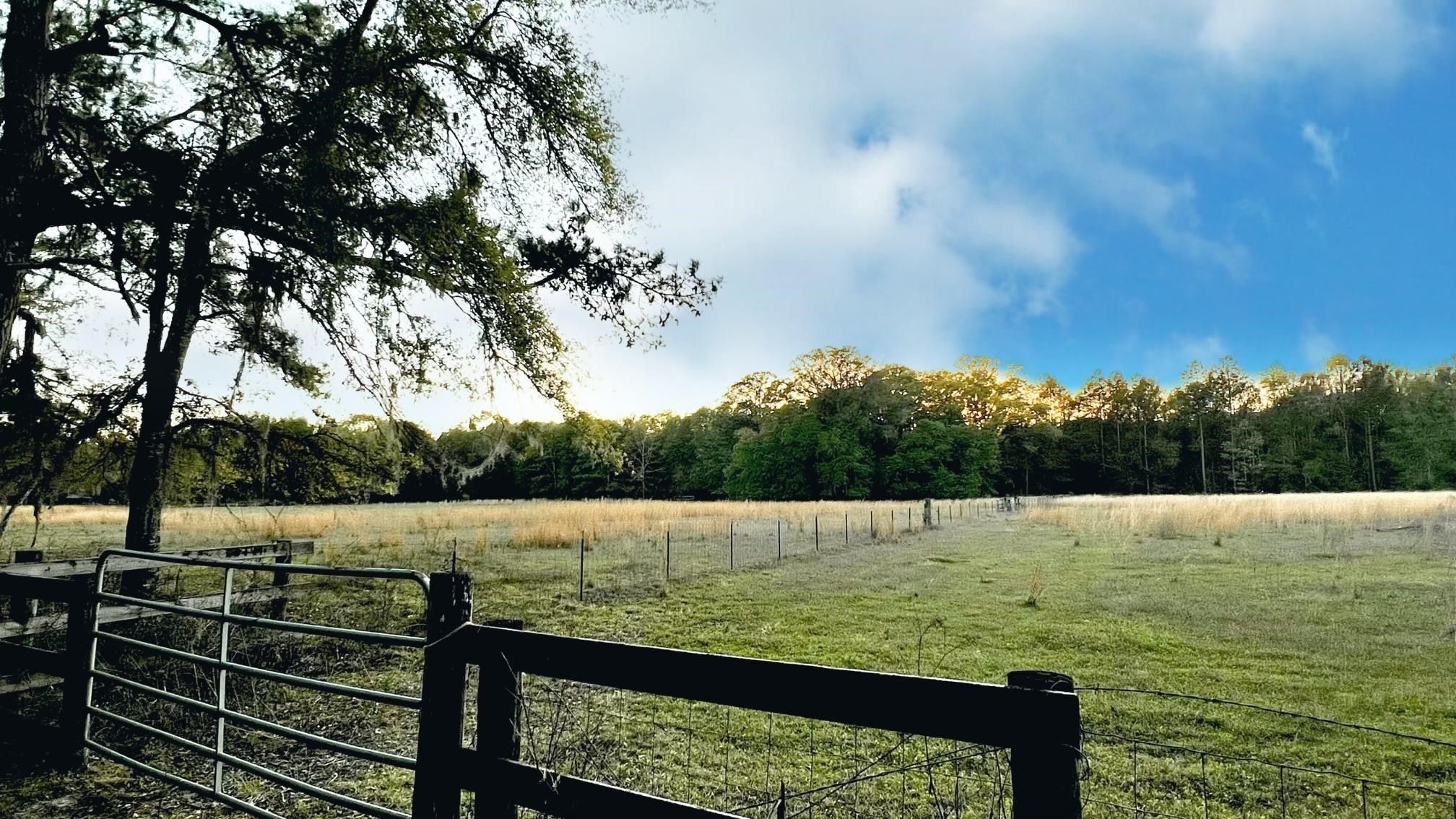 Monticello, Jefferson County, FL Undeveloped Land for sale Property ID 416052811 LandWatch
