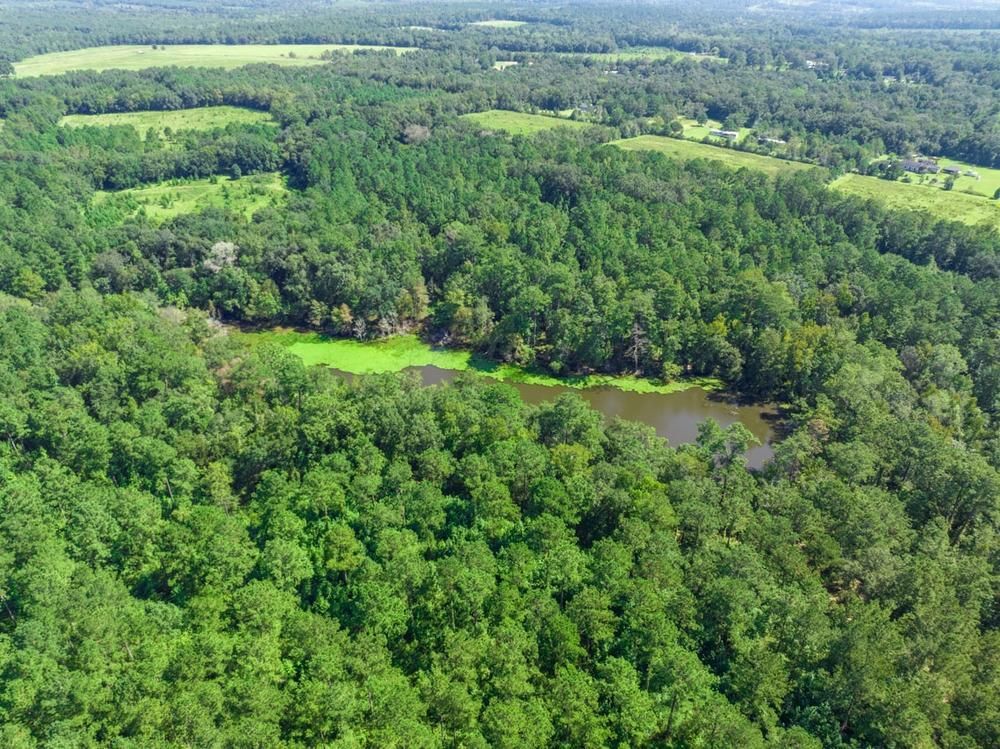 Quincy, Gadsden County, FL Recreational Property, Timberland Property