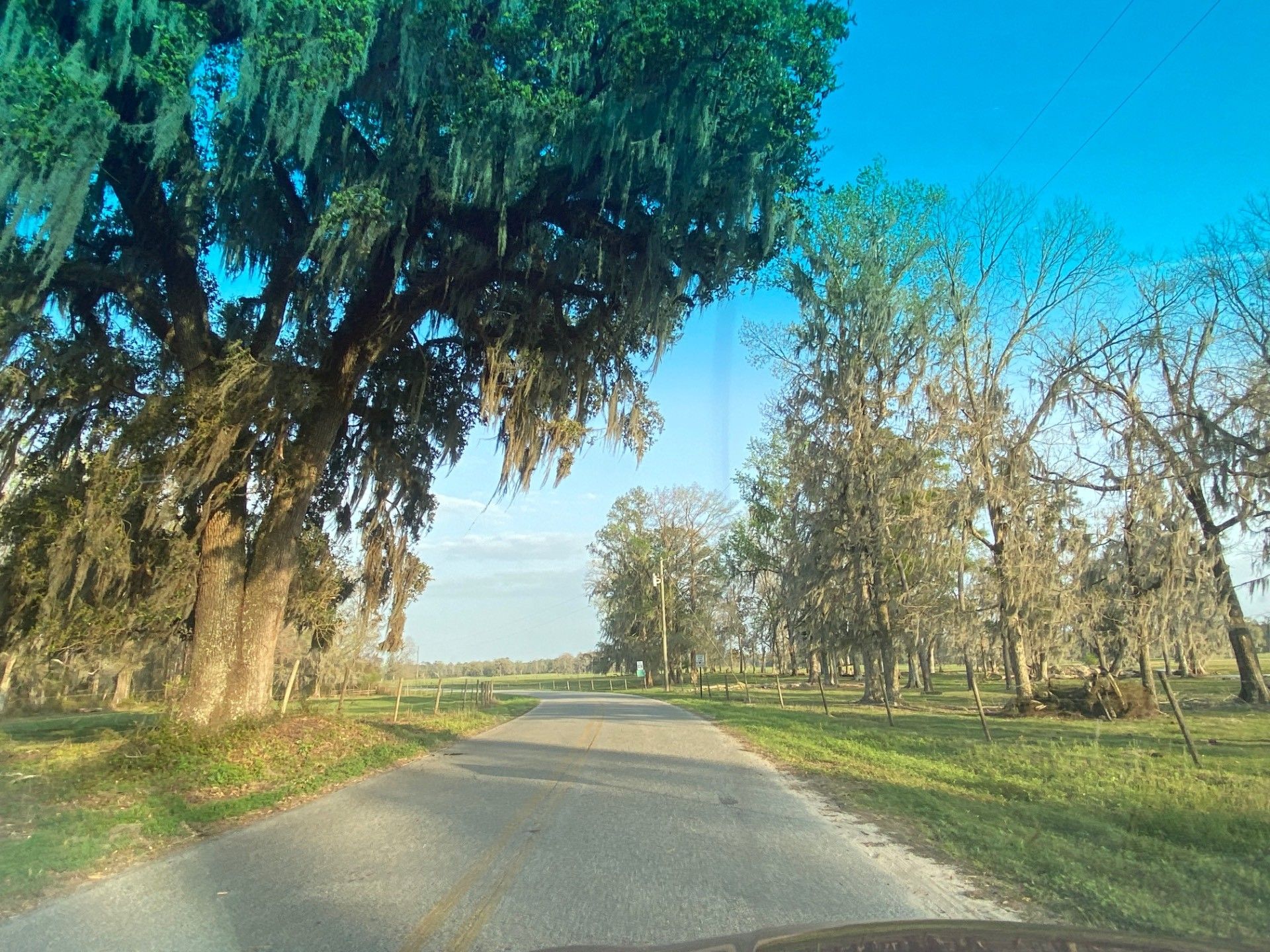 Perry, Taylor County, FL Undeveloped Land for sale Property ID