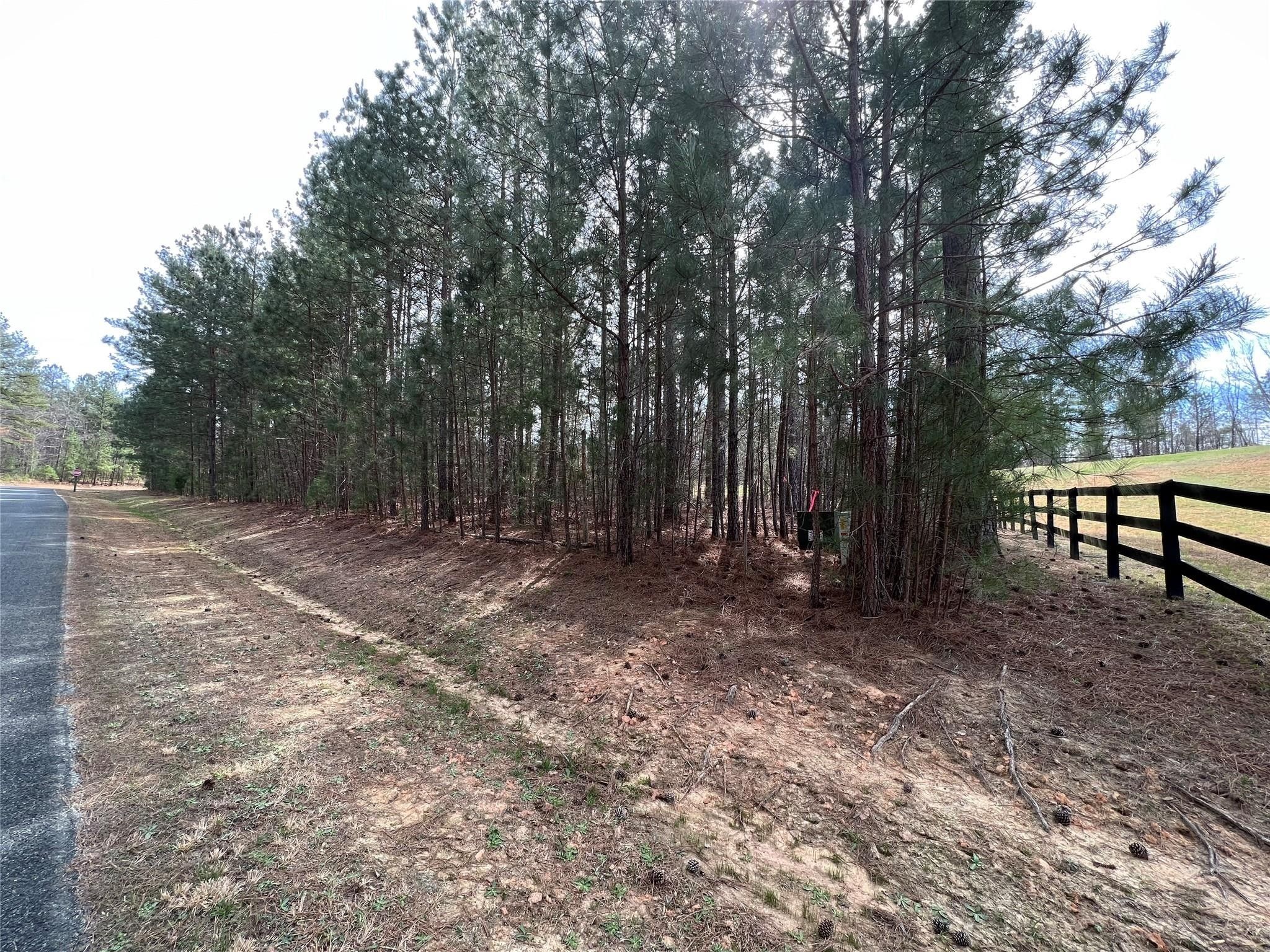 Mill Spring, Polk County, NC Undeveloped Land for sale Property ID