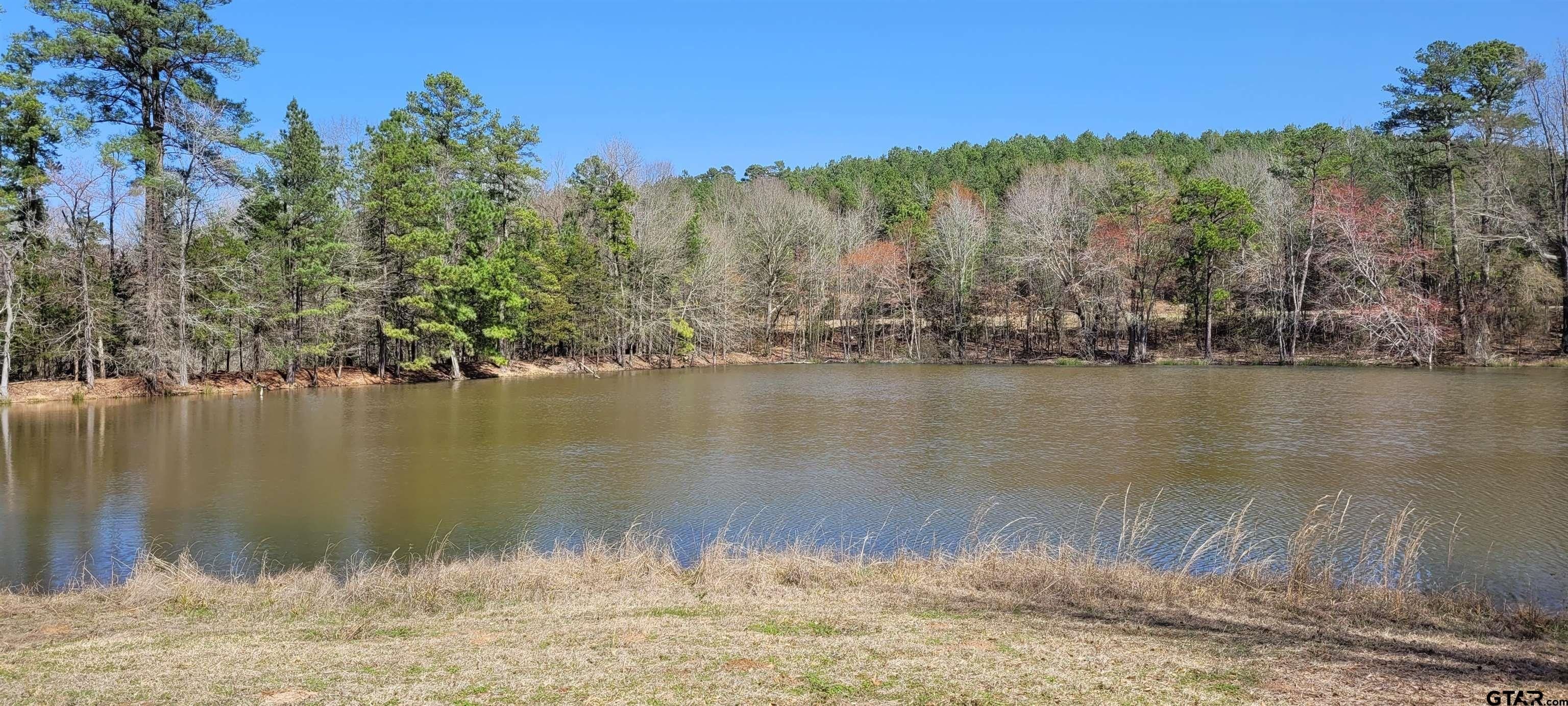 Linden, Cass County, TX Farms and Ranches, House for sale Property ID